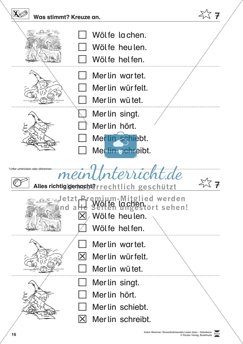 Sinnentnehmendes Lesen üben - Satzebene: