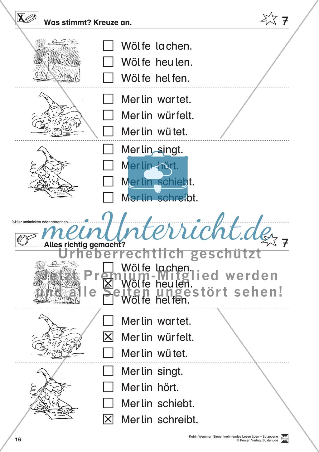 Sinnentnehmendes Lesen üben - Satzebene: