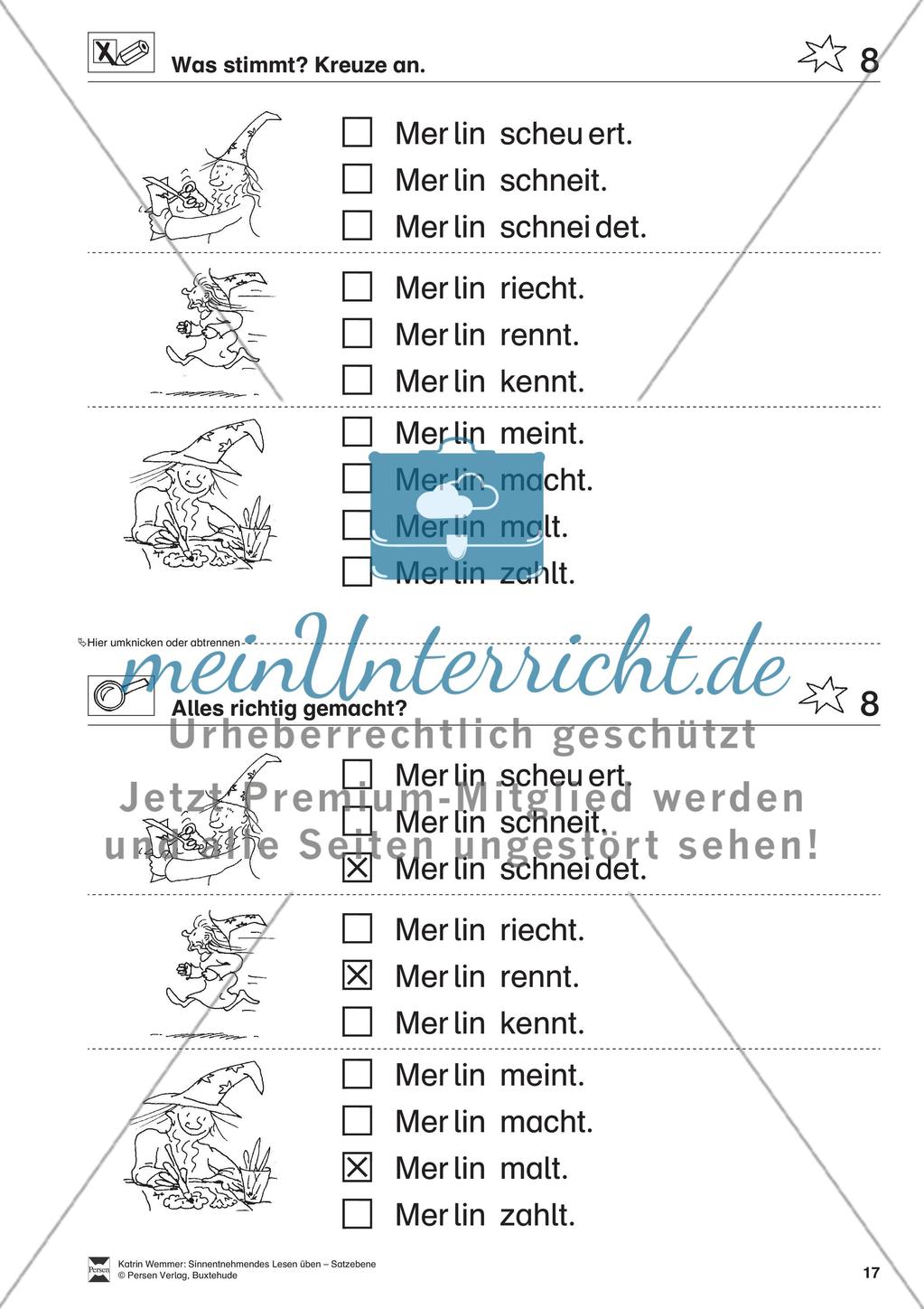 Sinnentnehmendes Lesen üben - Satzebene: