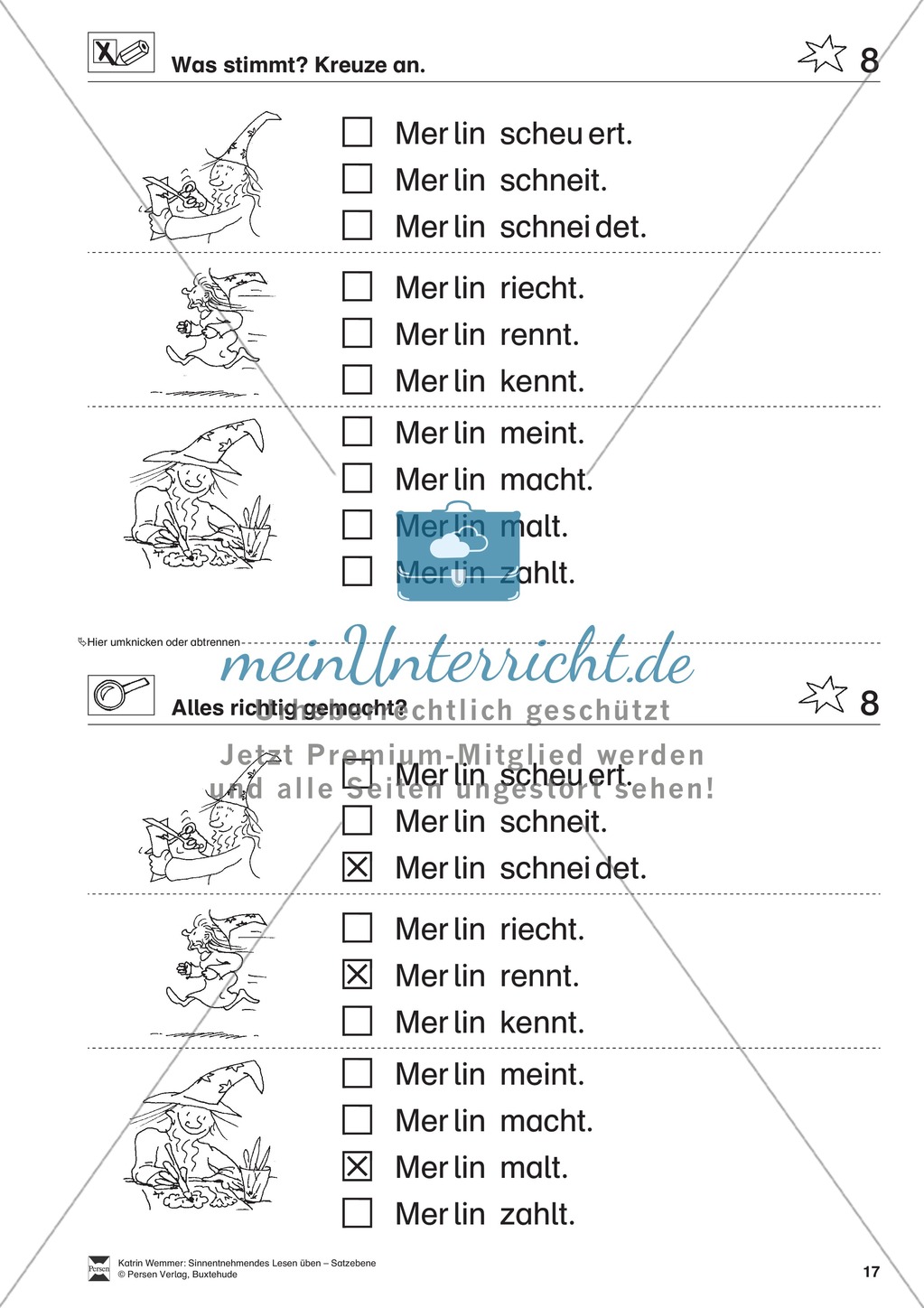 Sinnentnehmendes Lesen üben - Satzebene: