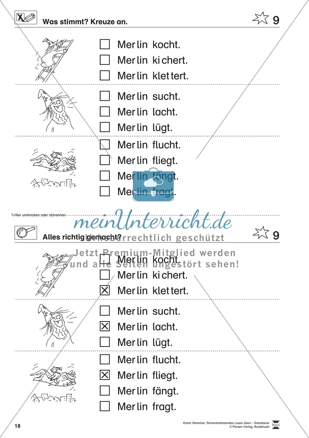 Sinnentnehmendes Lesen üben - Satzebene: