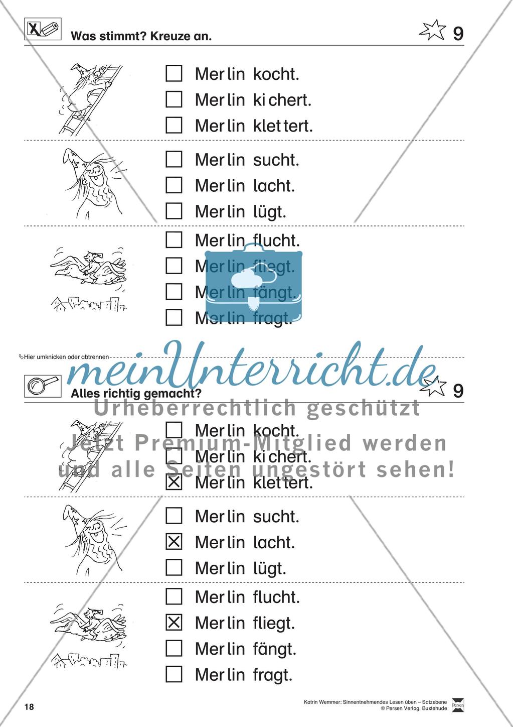 Sinnentnehmendes Lesen üben - Satzebene: