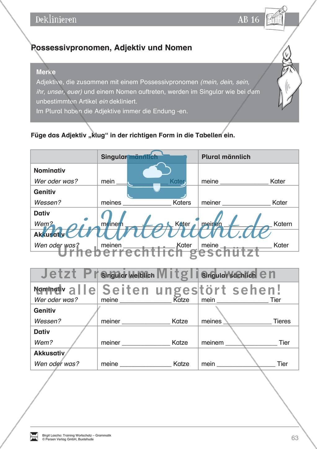 Deutsch als Zweitsprache (DaZ) - Grundfertigkeiten Grammatik: Deklinieren