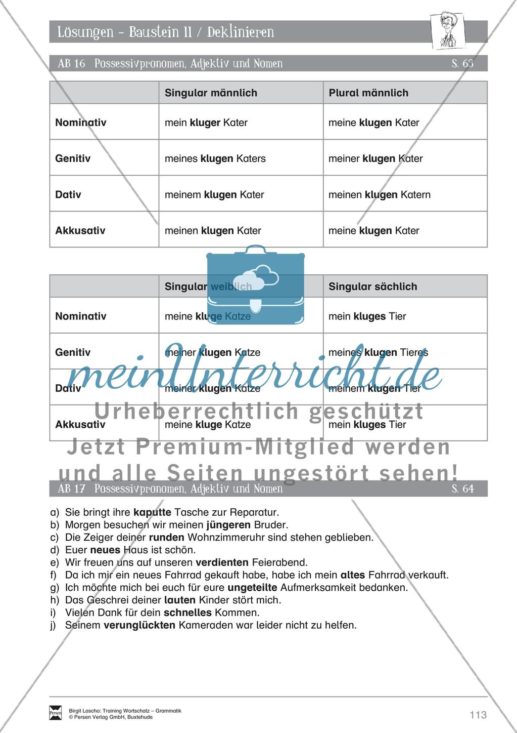 Deutsch als Zweitsprache (DaZ) - Grundfertigkeiten Grammatik: Deklinieren