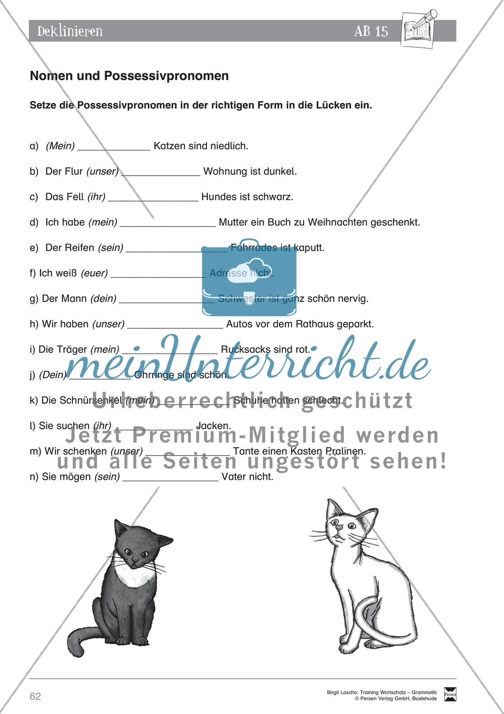 Deutsch als Zweitsprache (DaZ) - Grundfertigkeiten Grammatik: Deklinieren