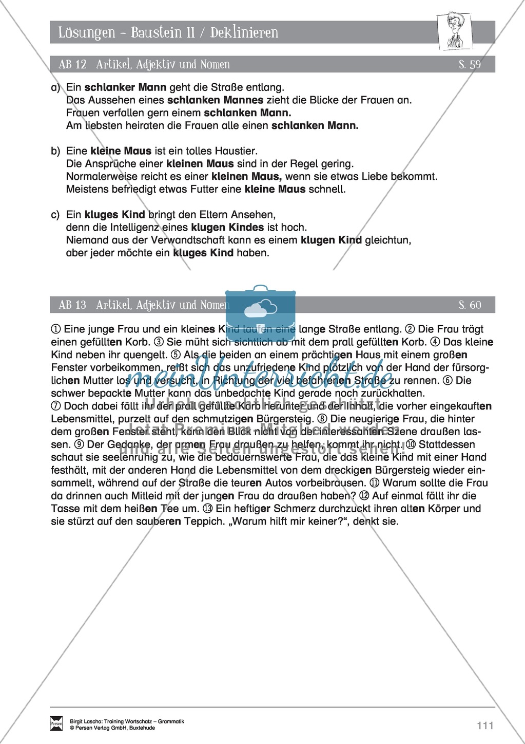 Deutsch als Zweitsprache (DaZ) - Grundfertigkeiten Grammatik: Deklinieren