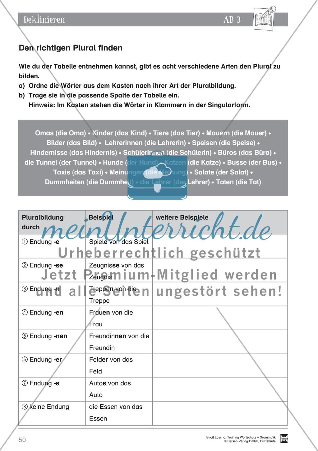 Deutsch als Zweitsprache (DaZ) - Grundfertigkeiten Grammatik: Deklinieren