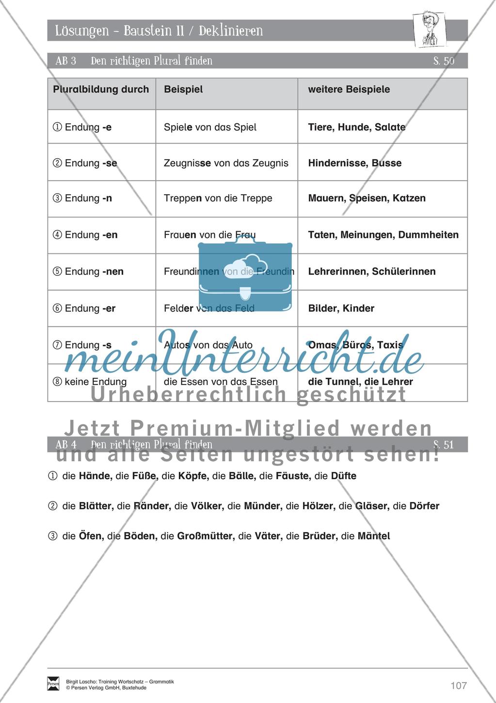 Deutsch als Zweitsprache (DaZ) - Grundfertigkeiten Grammatik: Deklinieren