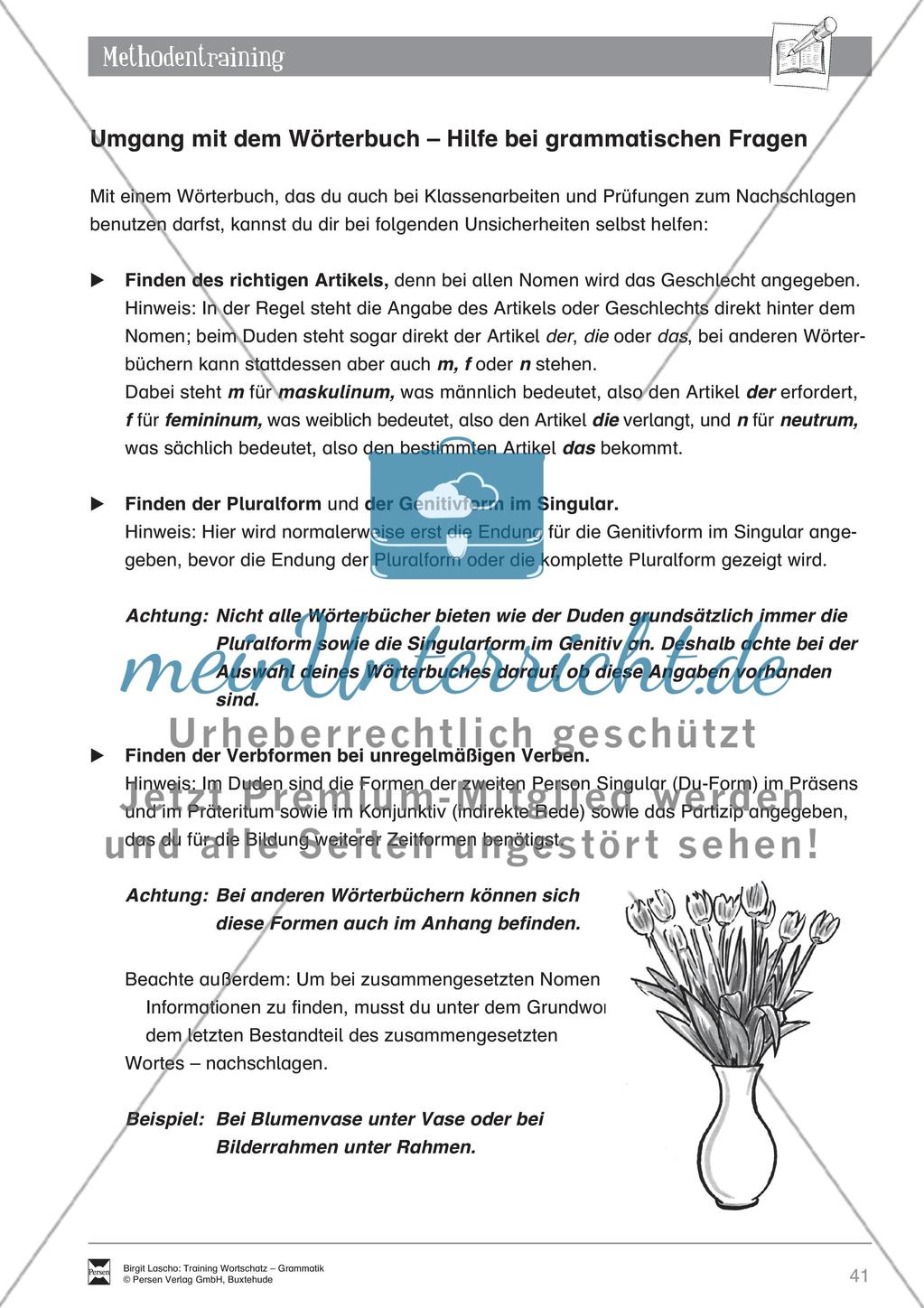 Deutsch als Zweitsprache (DaZ) - Grundfertigkeiten Grammatik: