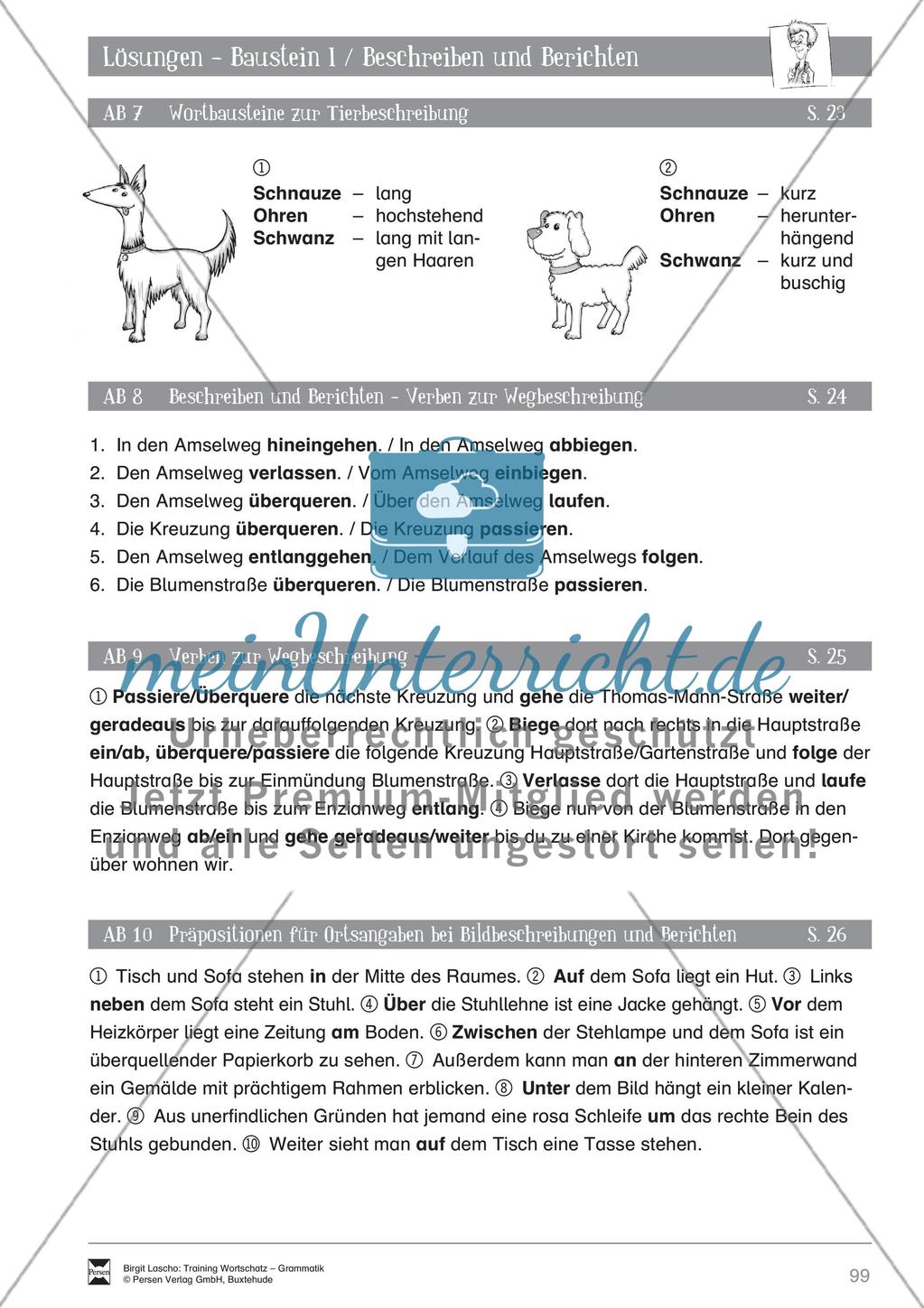 Deutsch als Zweitsprache (DaZ) - Sprachlicher Ausdruck: Beschreiben und Berichten