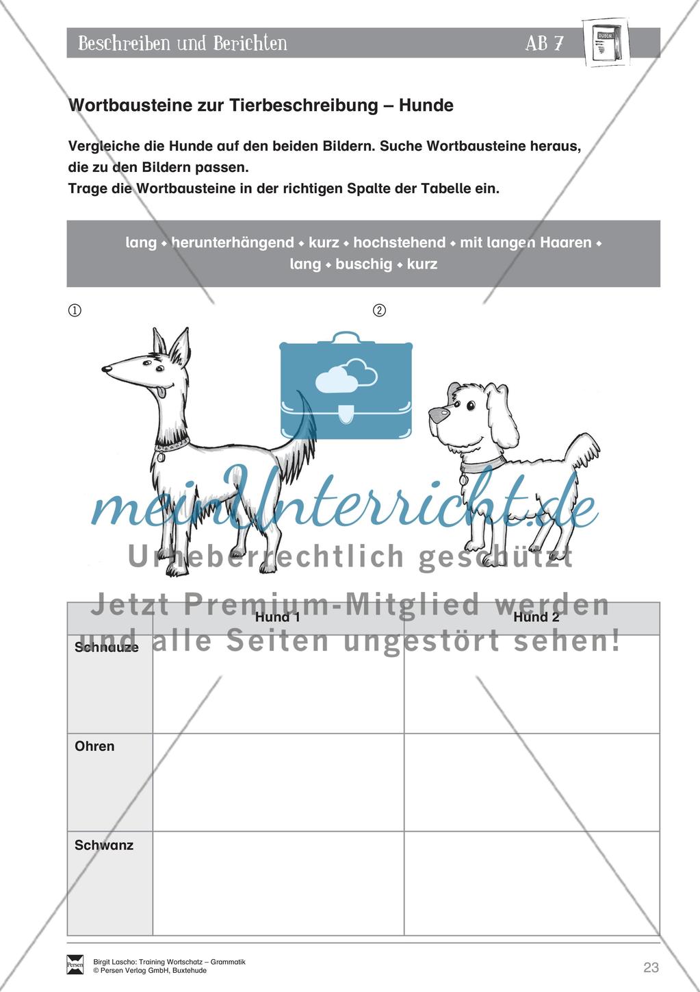 Deutsch als Zweitsprache (DaZ) - Sprachlicher Ausdruck: Beschreiben und Berichten