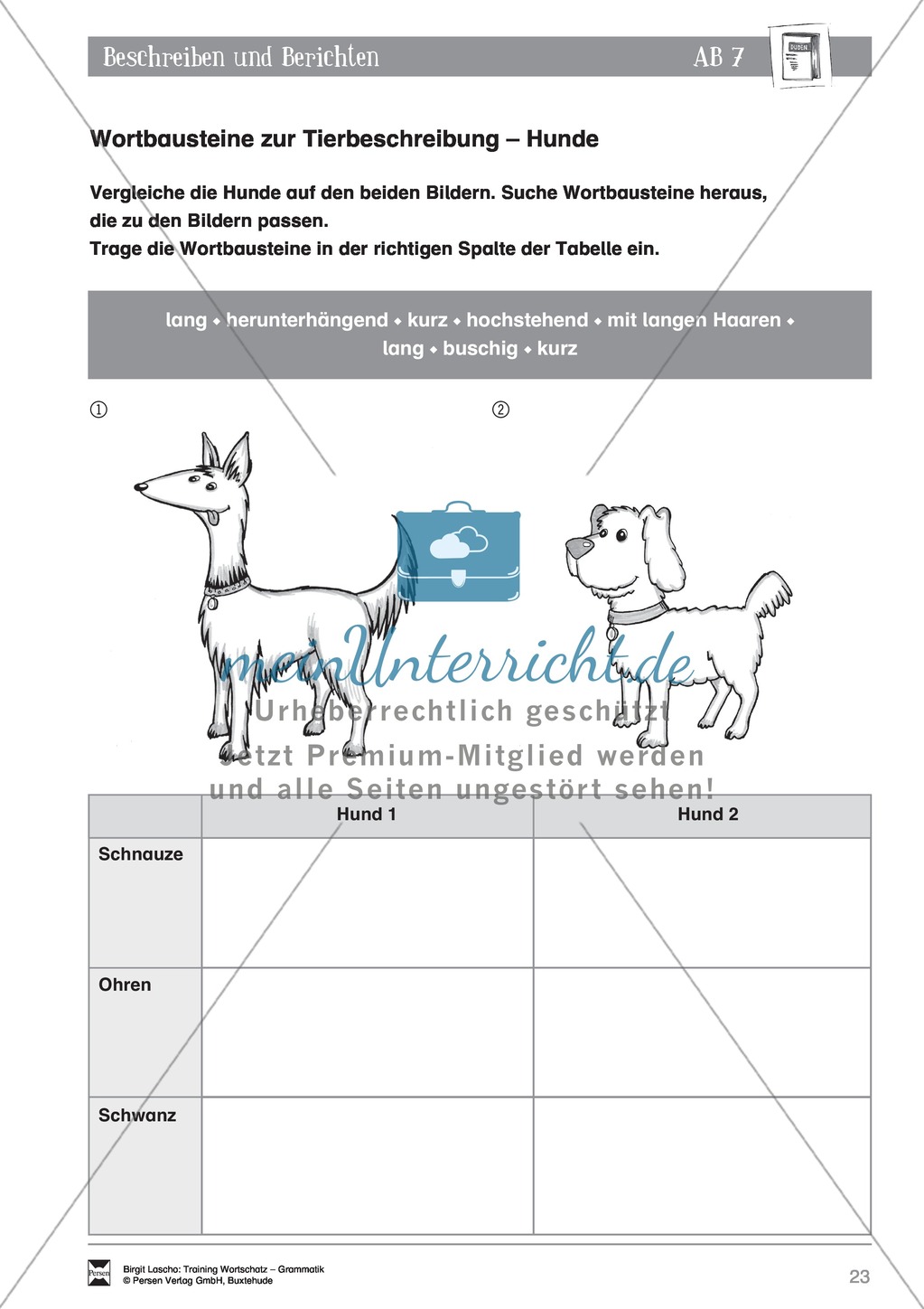 Deutsch als Zweitsprache (DaZ) - Sprachlicher Ausdruck: Beschreiben und Berichten