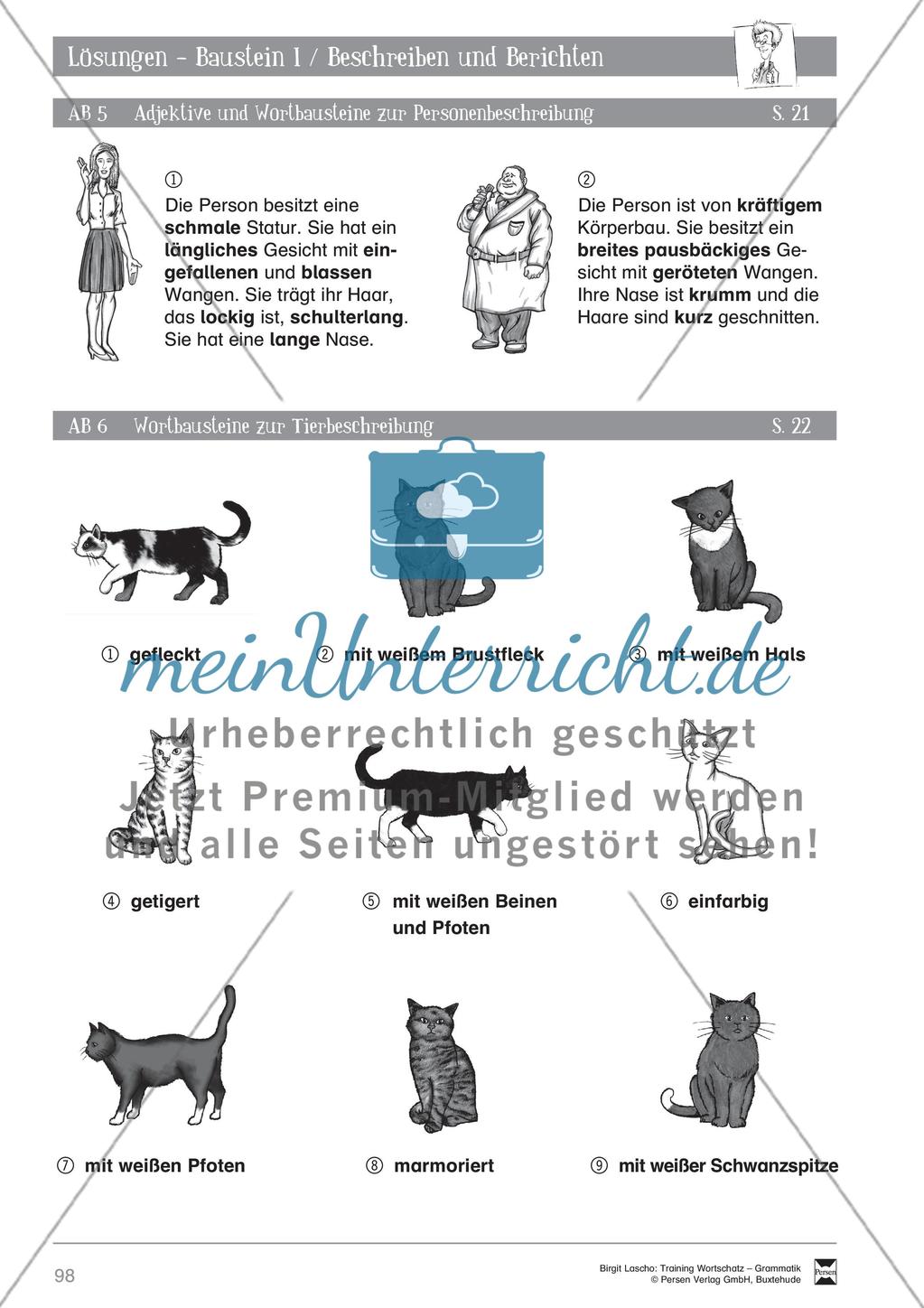 Deutsch als Zweitsprache (DaZ) - Sprachlicher Ausdruck: Beschreiben und Berichten