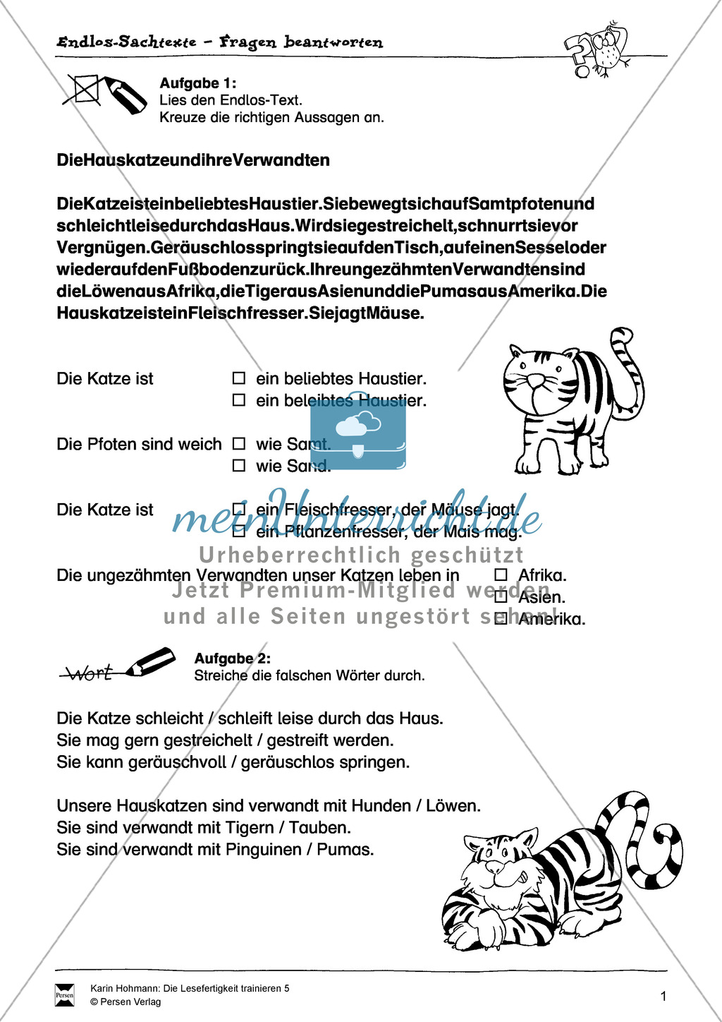 Sachtexte - Lesefertigkeit - Leseübungen: "Endlostexte" - Arbeitsblätter + Aufgaben + Lösungen Preview 1