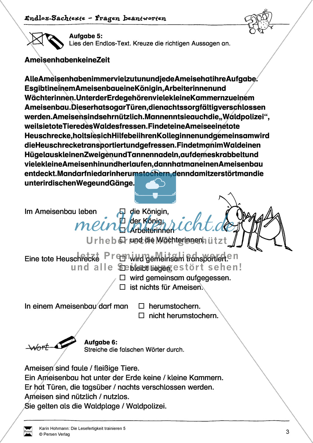 Sachtexte - Lesefertigkeit - Leseübungen: "Endlostexte" - Arbeitsblätter + Aufgaben + Lösungen Preview 3