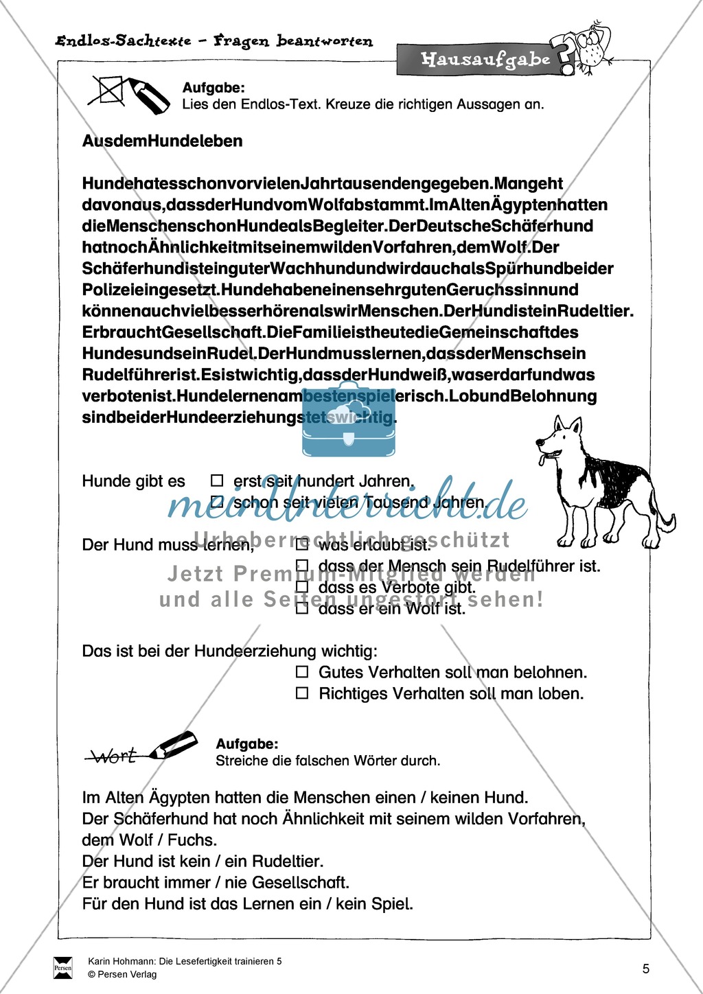 Sachtexte - Lesefertigkeit - Leseübungen: "Endlostexte" - Arbeitsblätter + Aufgaben + Lösungen Preview 5