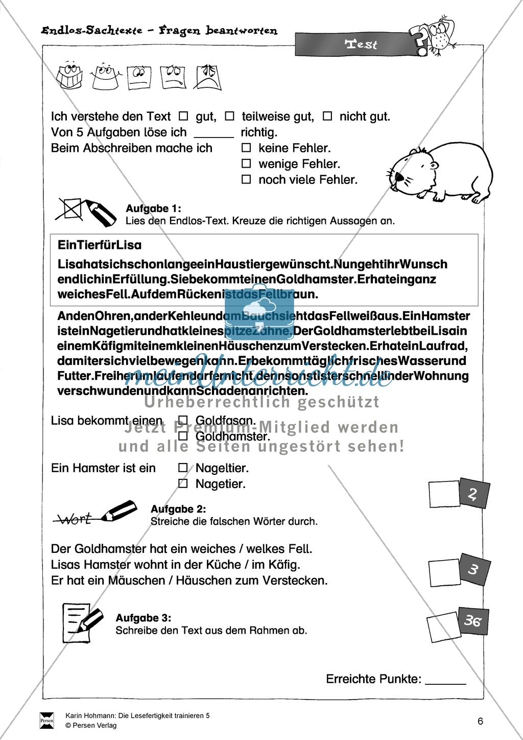 Sachtexte - Lesefertigkeit - Leseübungen: "Endlostexte" - Arbeitsblätter + Aufgaben + Lösungen Preview 6