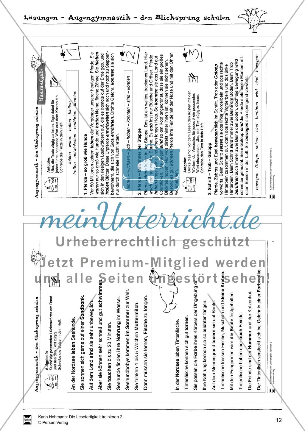 Blicksprung schulen durch Lückentexte (Hausaufgabe): Übungen + Lösungen Preview 3