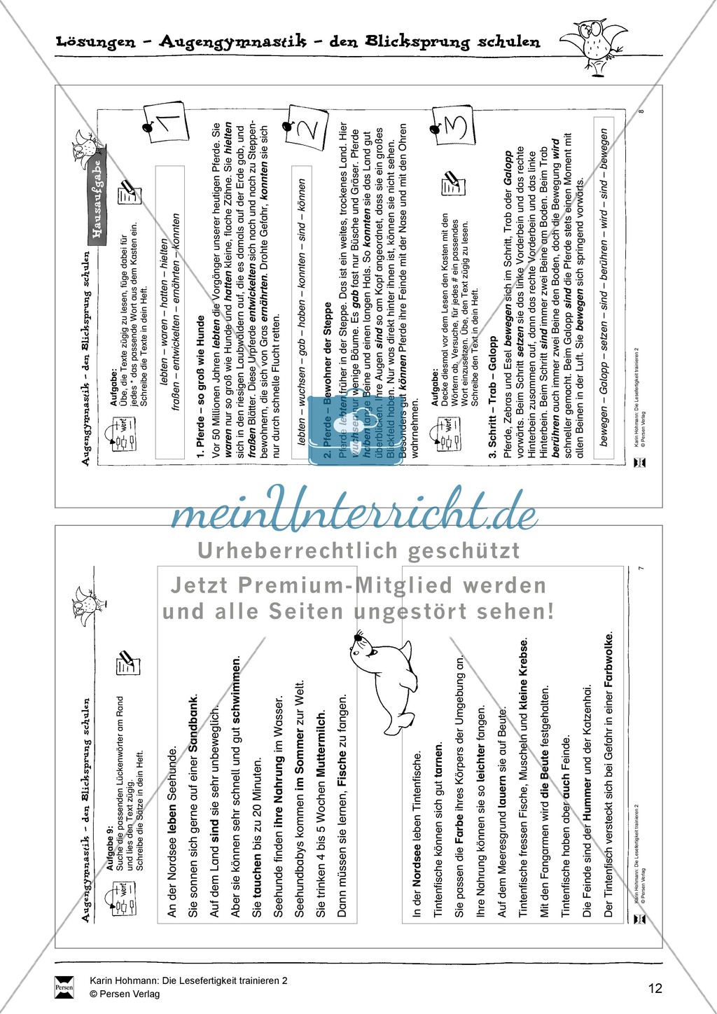 Blicksprung schulen durch Lückentexte: Übungen + Lösungen Preview 2