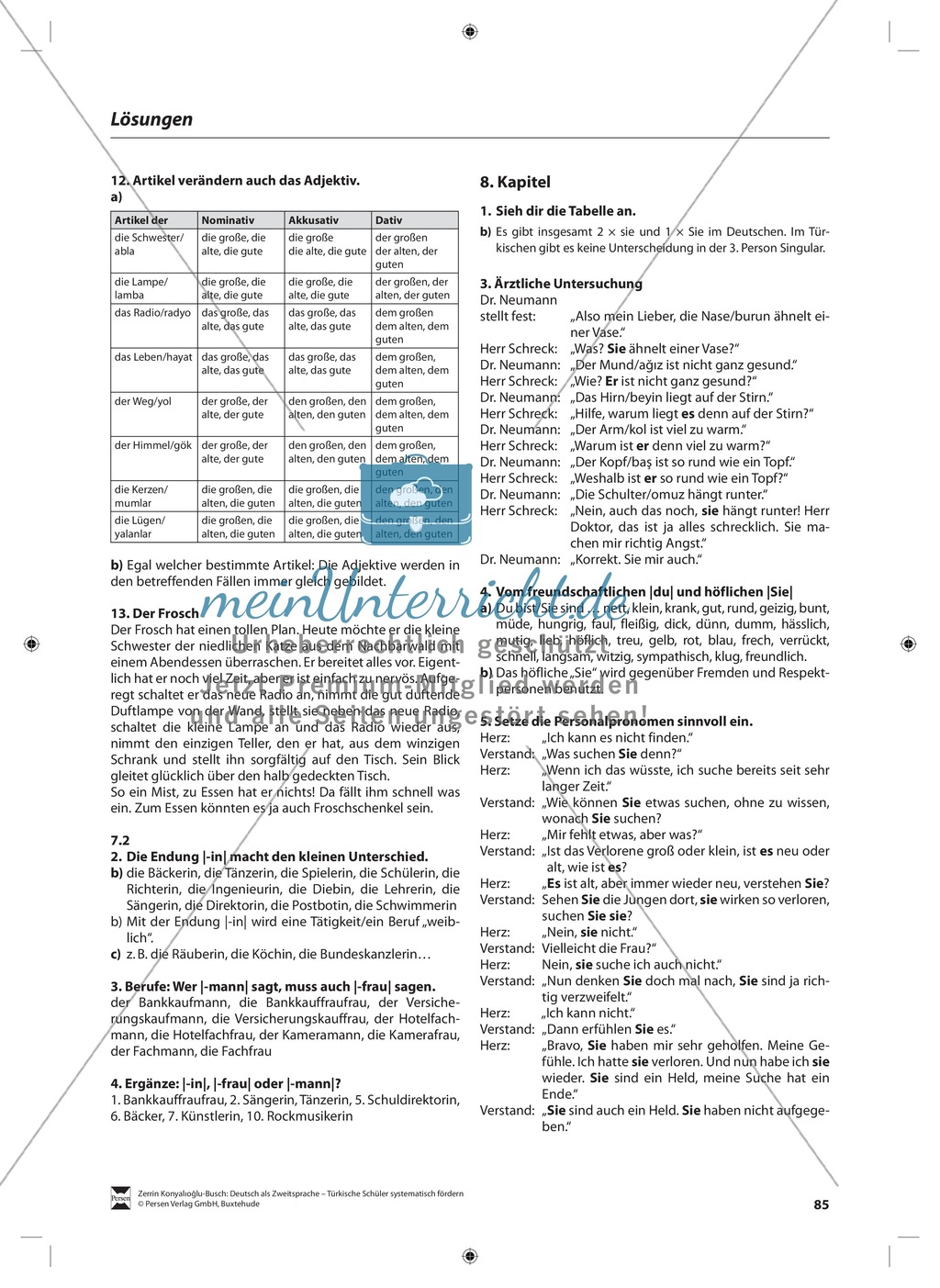 Der Artikel: Lehrerinformationen, Arbeitsblätter und Lösungen Preview 13