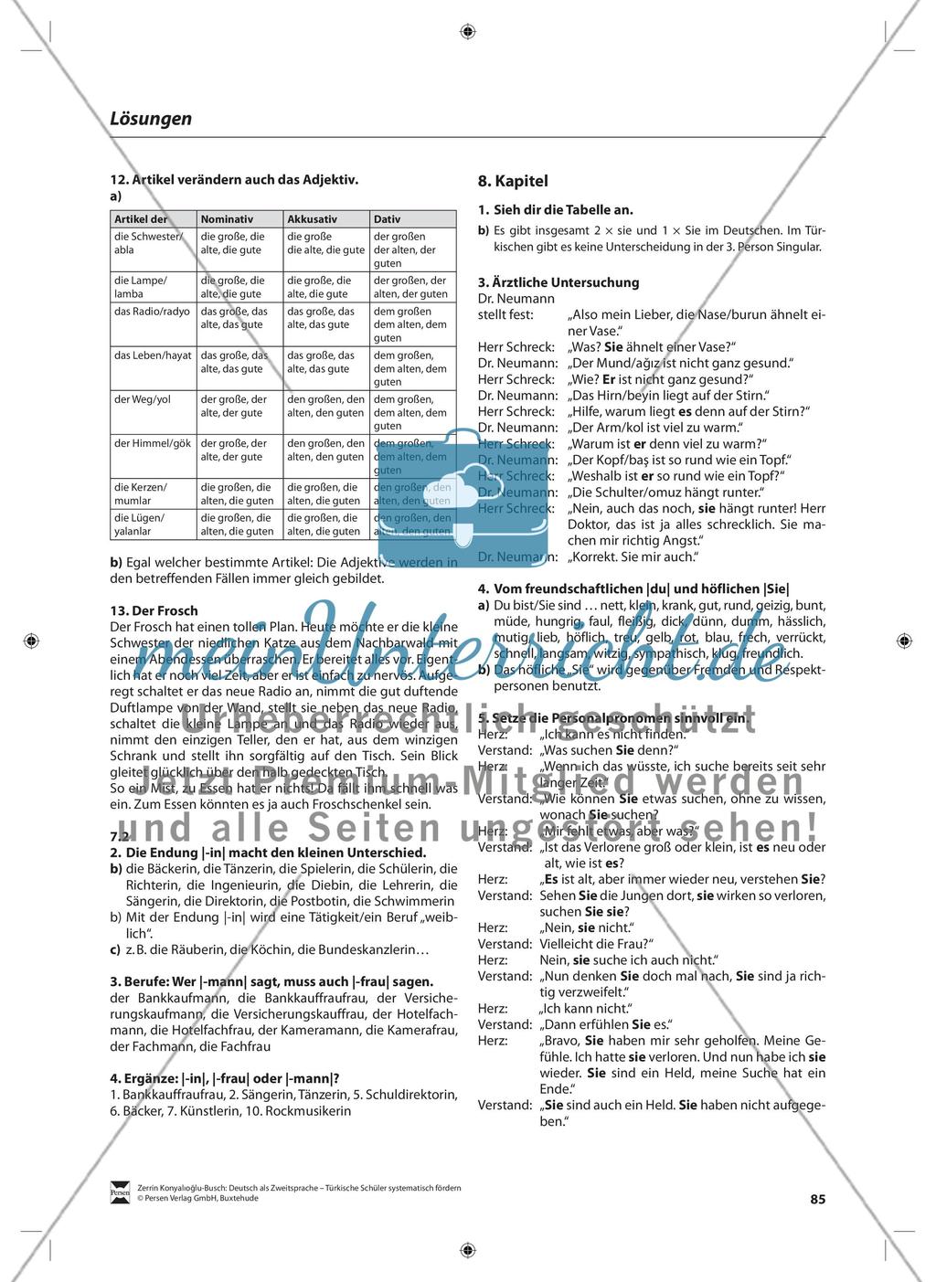 Der Artikel: Lehrerinformationen, Arbeitsblätter und Lösungen Preview 13