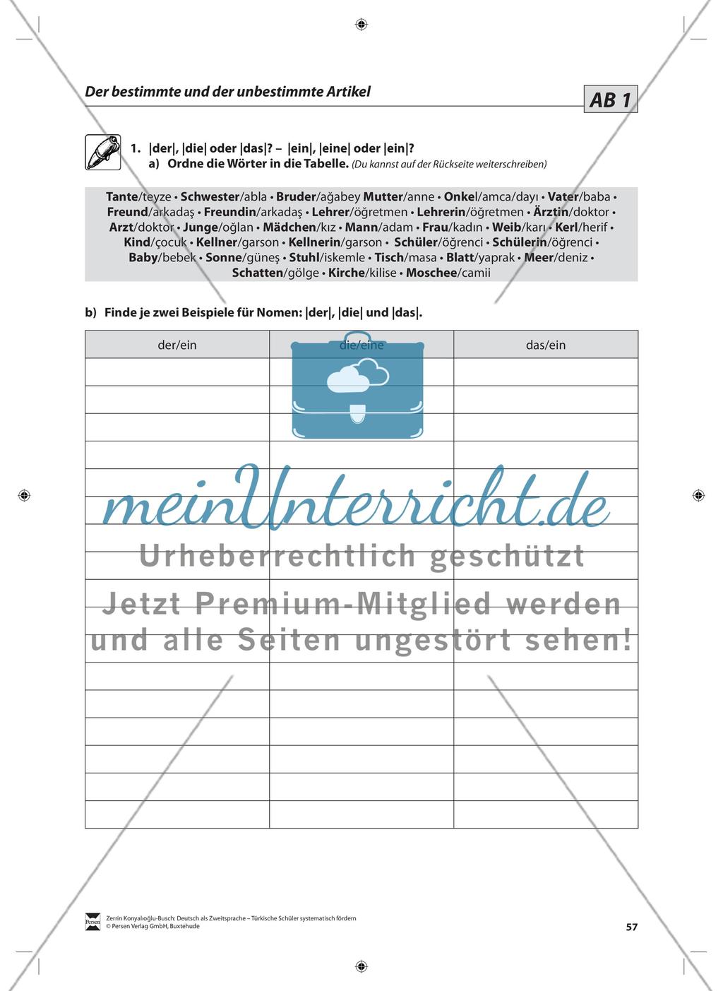 Der Artikel: Lehrerinformationen, Arbeitsblätter und Lösungen Preview 2