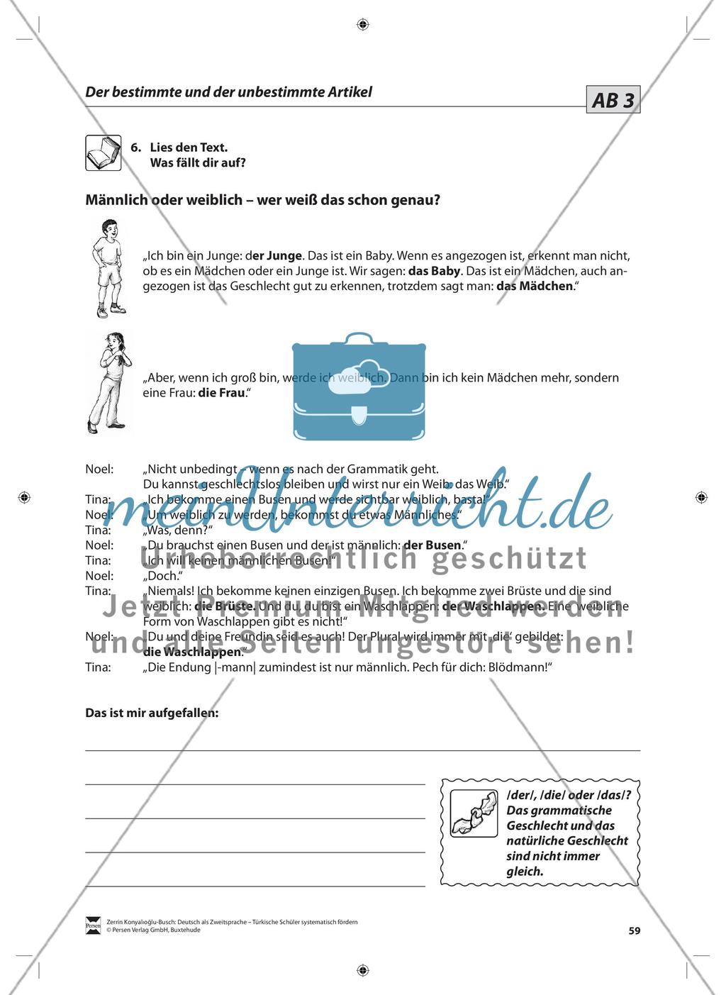Der Artikel: Lehrerinformationen, Arbeitsblätter und Lösungen Preview 4