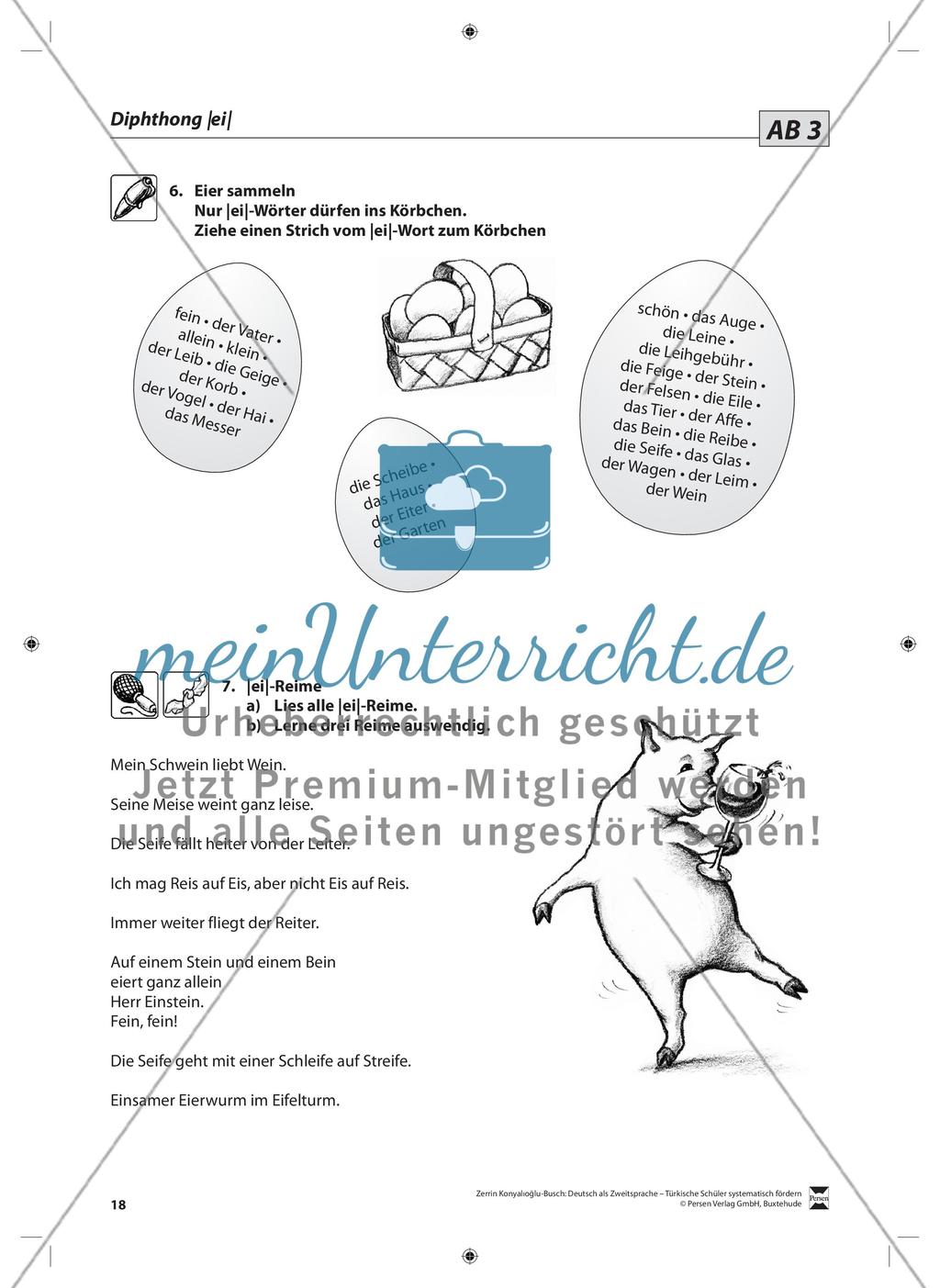 Der Diphthong: Lehrerinformationen, Arbeitsblätter und Lösungen Preview 5