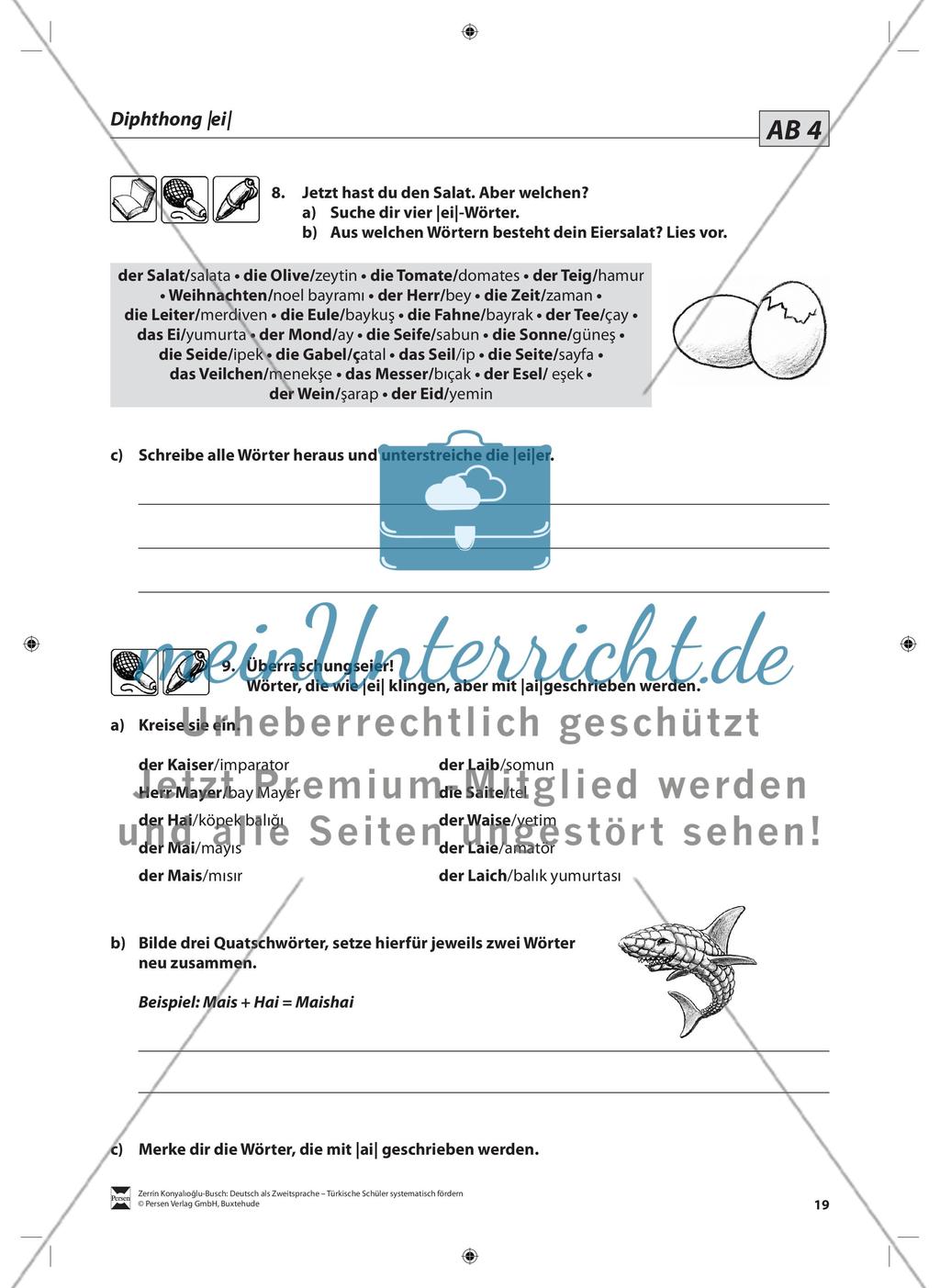 Der Diphthong: Lehrerinformationen, Arbeitsblätter und Lösungen Preview 6
