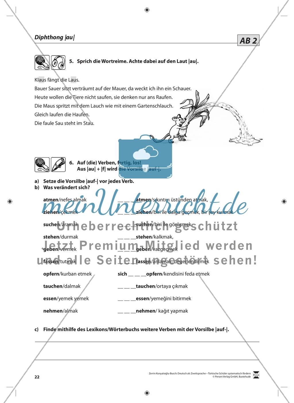 Der Diphthong: Lehrerinformationen, Arbeitsblätter und Lösungen Preview 9