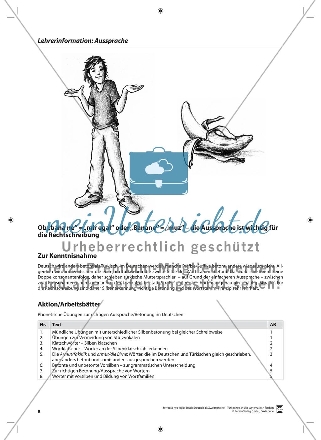 Richtige Aussprache: Lehrerinformationen, Arbeitsblätter und Lösungen Preview 1