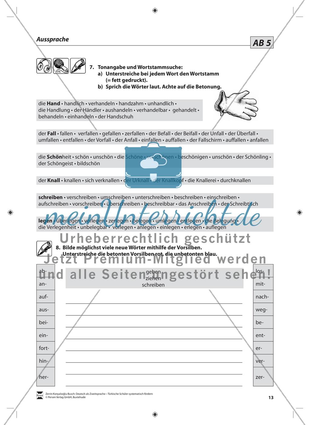 Richtige Aussprache: Lehrerinformationen, Arbeitsblätter und Lösungen Preview 6
