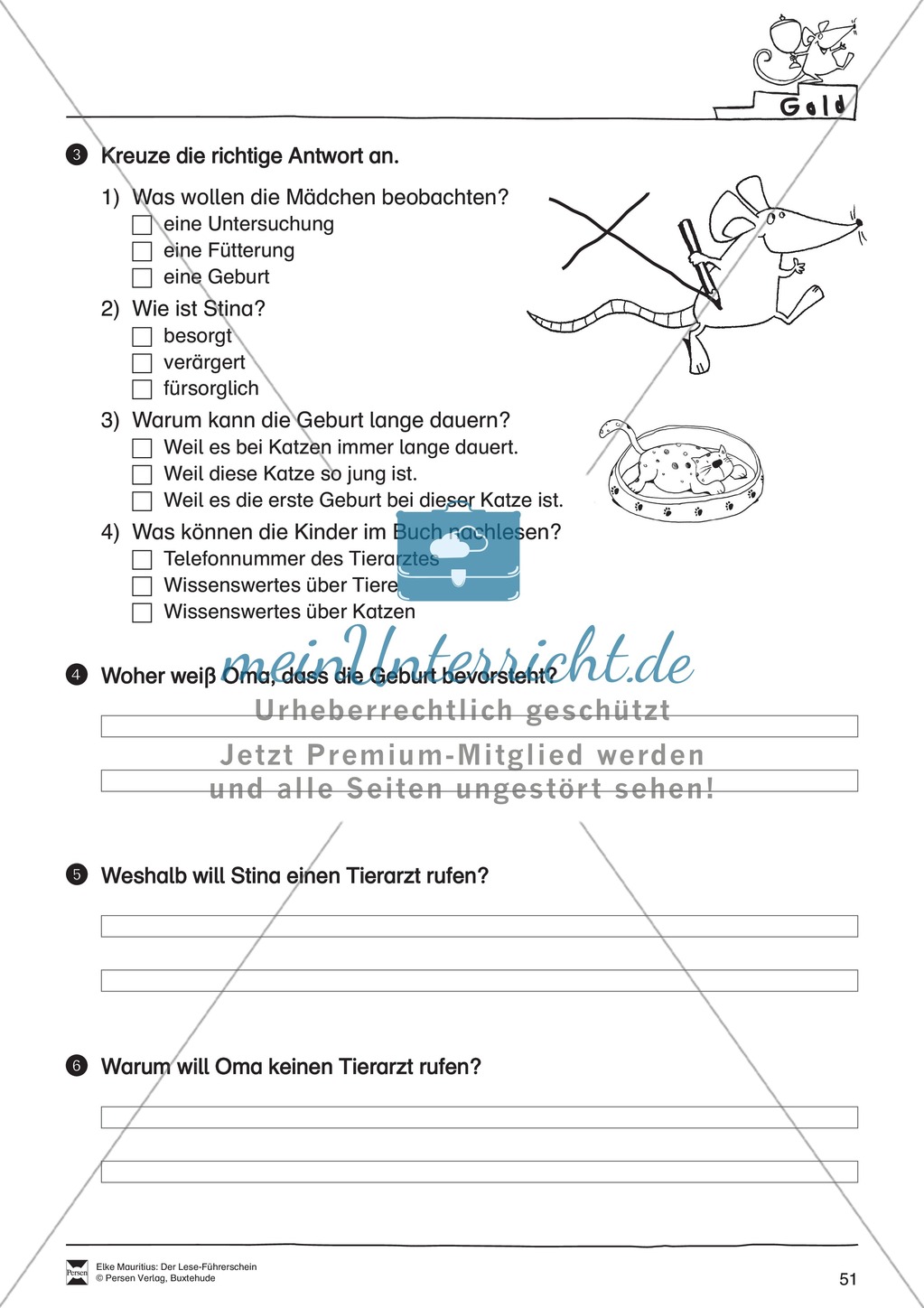 Leseführerschein Gold: Trainings- und Prüfungsblätter, Auswertungsbögen und Lösungen Preview 16