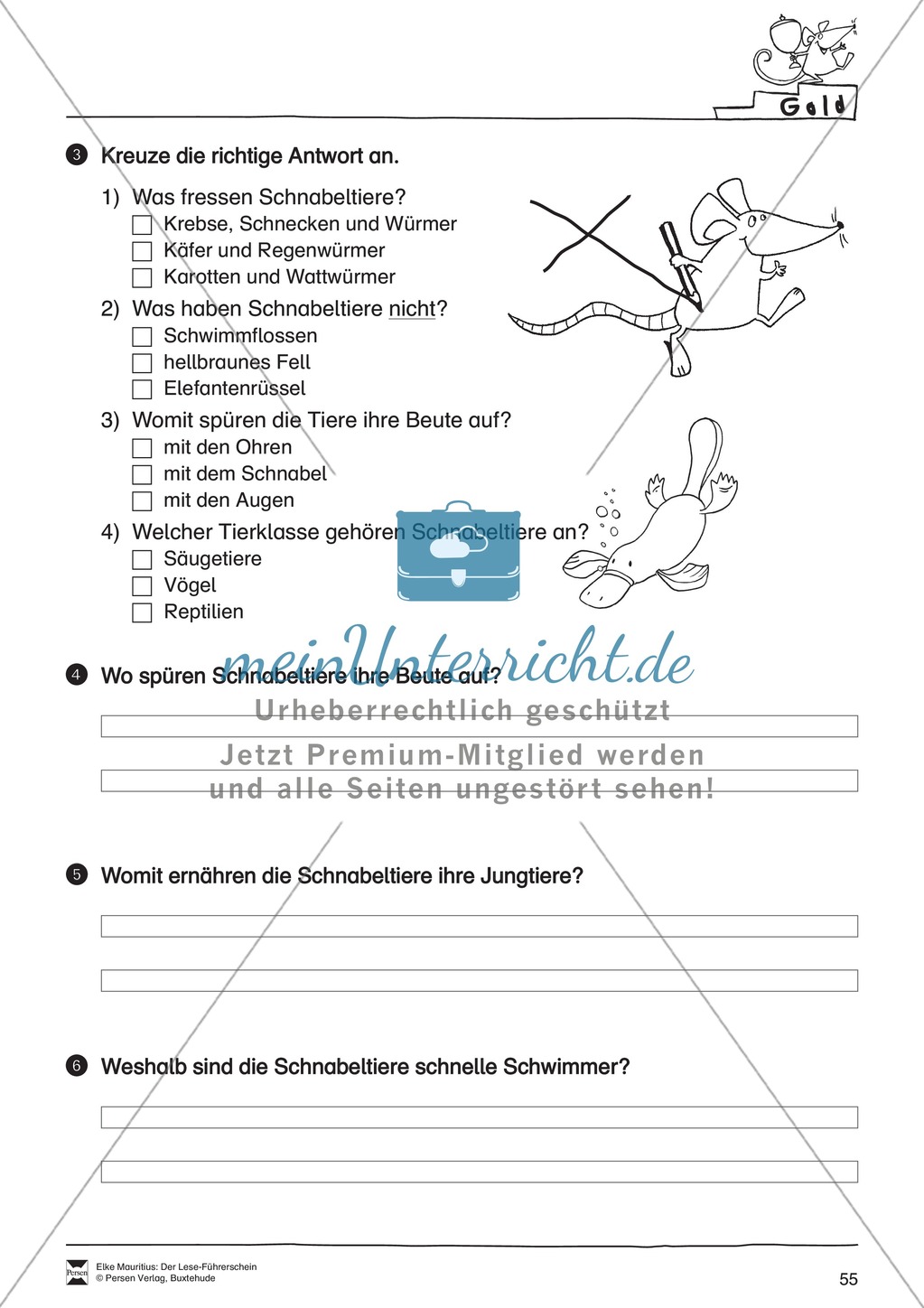 Leseführerschein Gold: Trainings- und Prüfungsblätter, Auswertungsbögen und Lösungen Preview 20