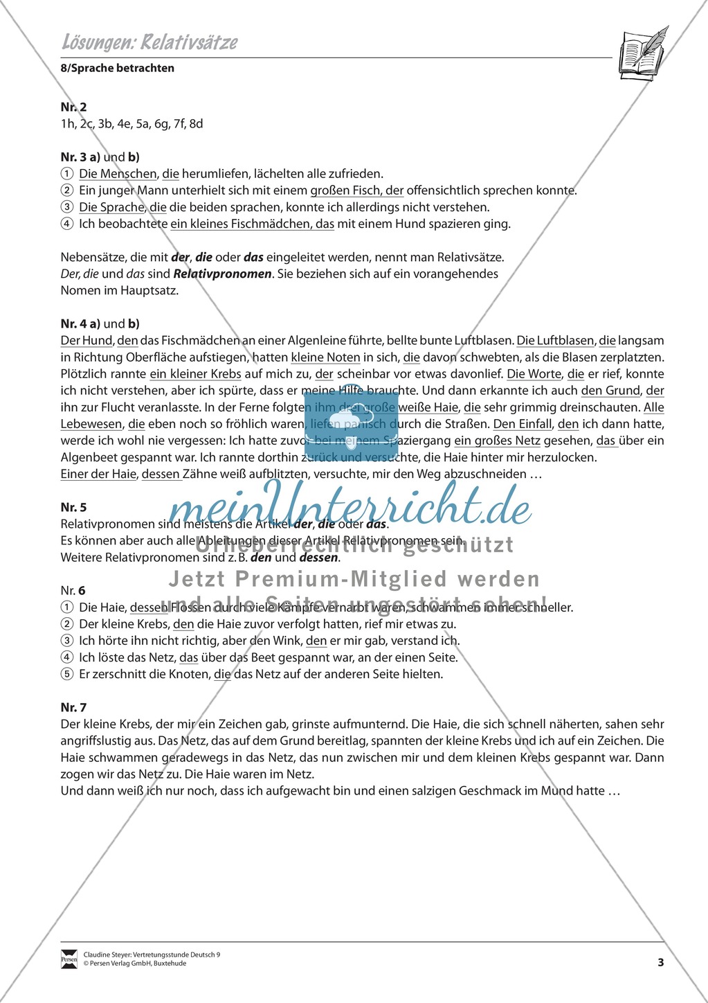 Relativsätze: Übungen und Lösung Preview 3