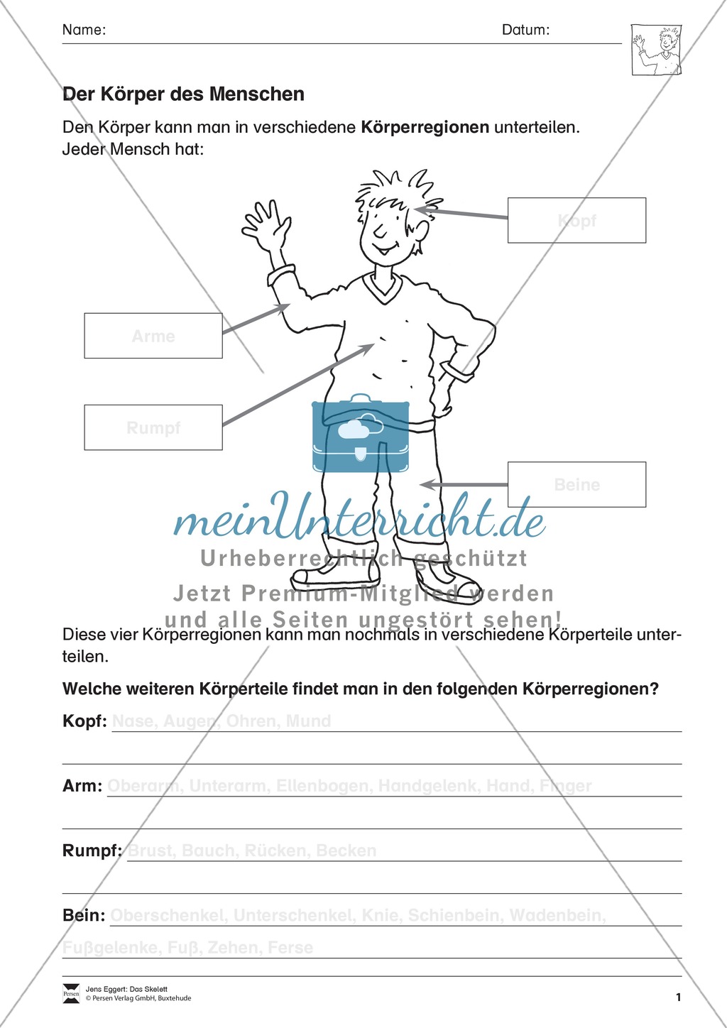 Körper und Gesundheit: Aufgaben + Lesetext + Lückentext Preview 1