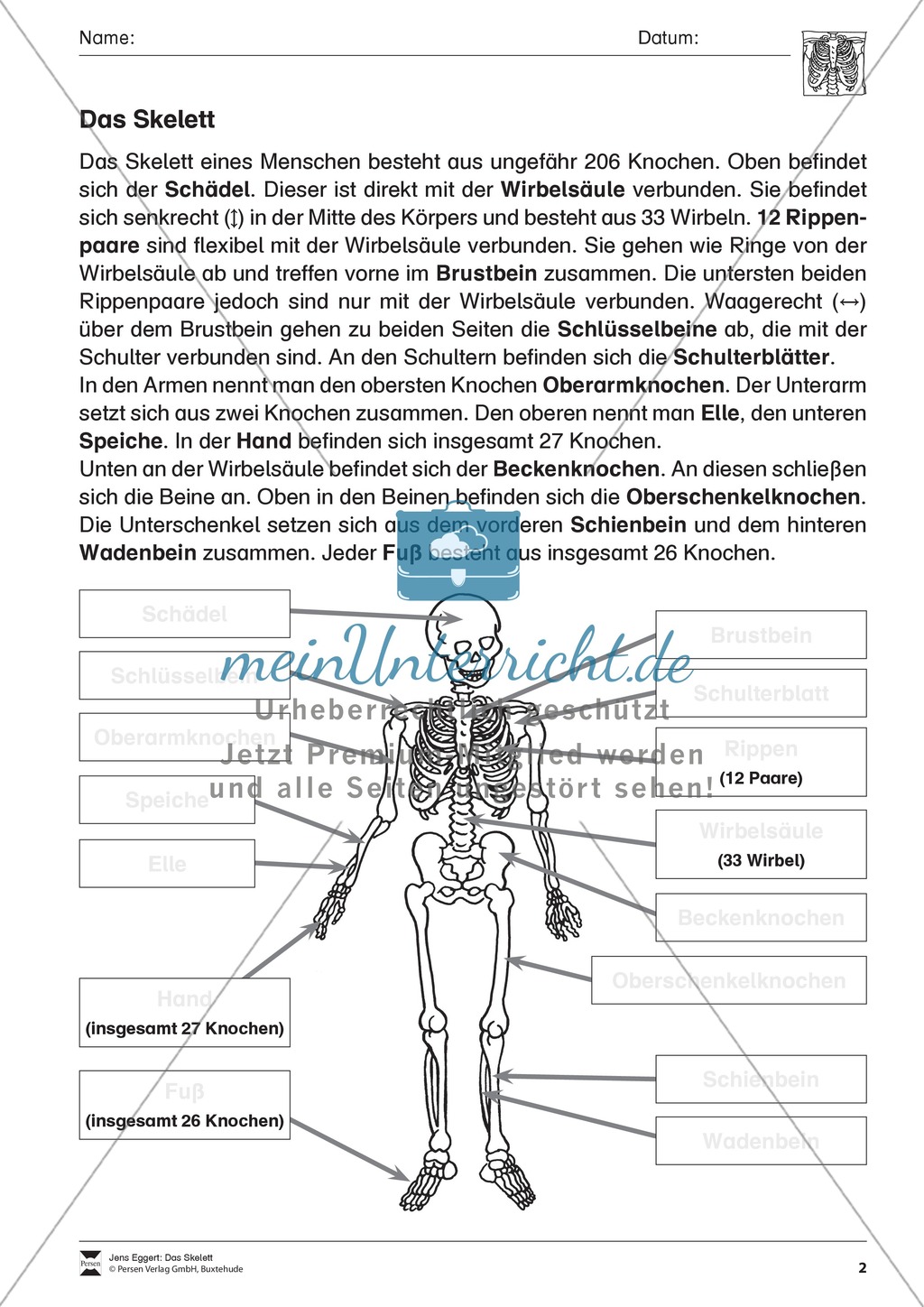 Körper und Gesundheit: Aufgaben + Lesetext + Lückentext Preview 2