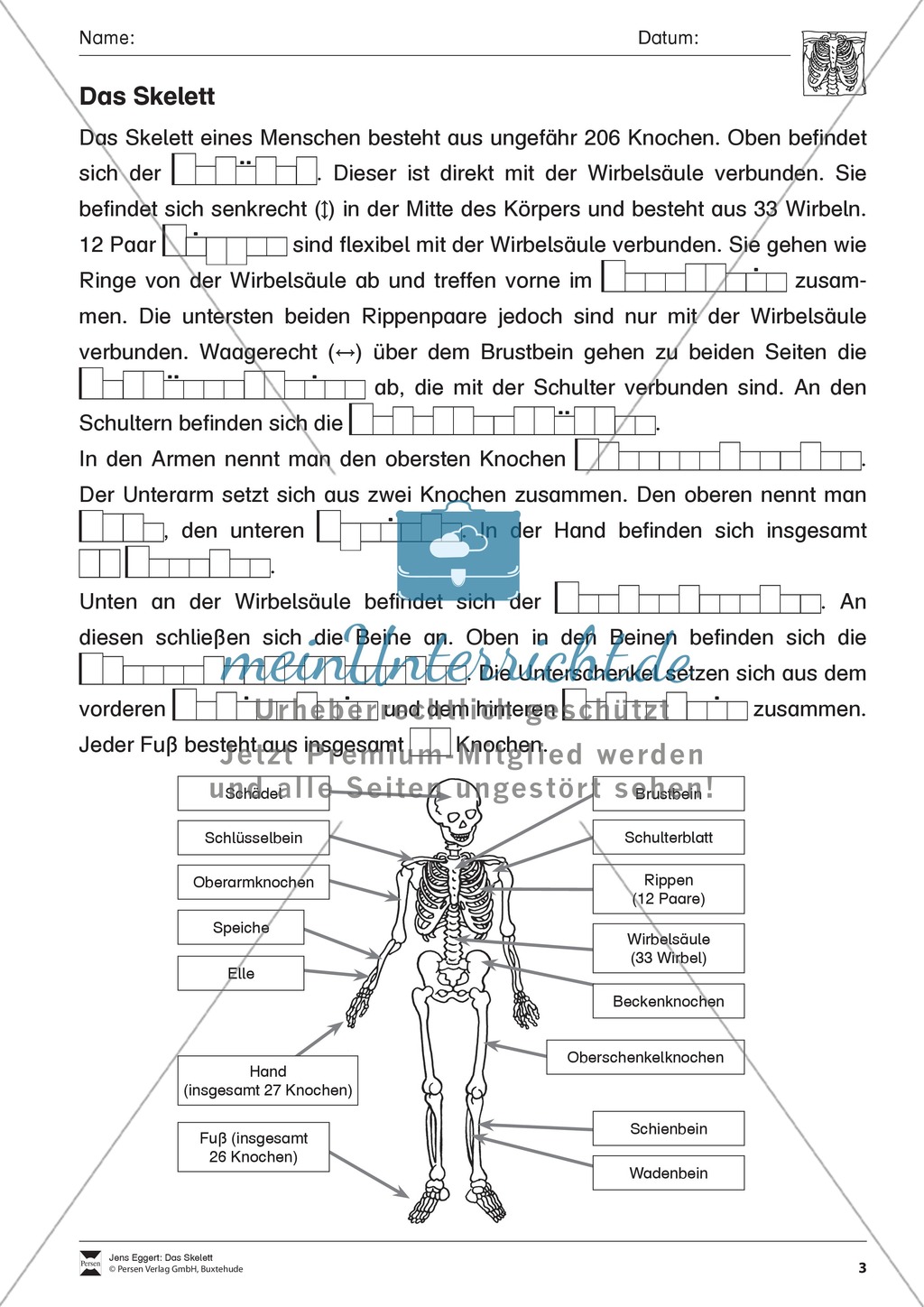 Körper und Gesundheit: Aufgaben + Lesetext + Lückentext Preview 3