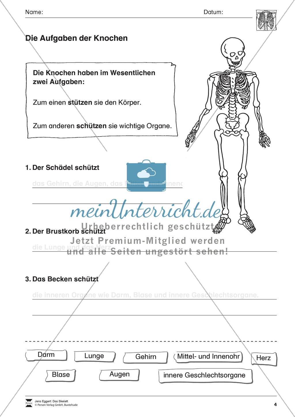 Körper und Gesundheit: Aufgaben + Lesetext + Lückentext Preview 4