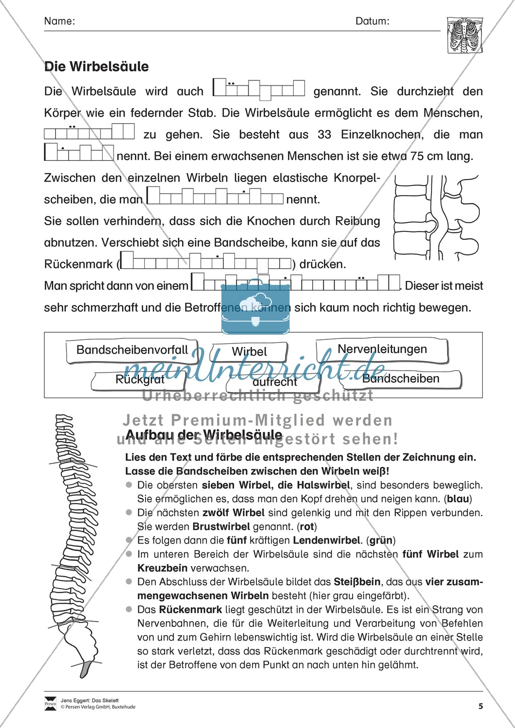 Körper und Gesundheit: Aufgaben + Lesetext + Lückentext Preview 5