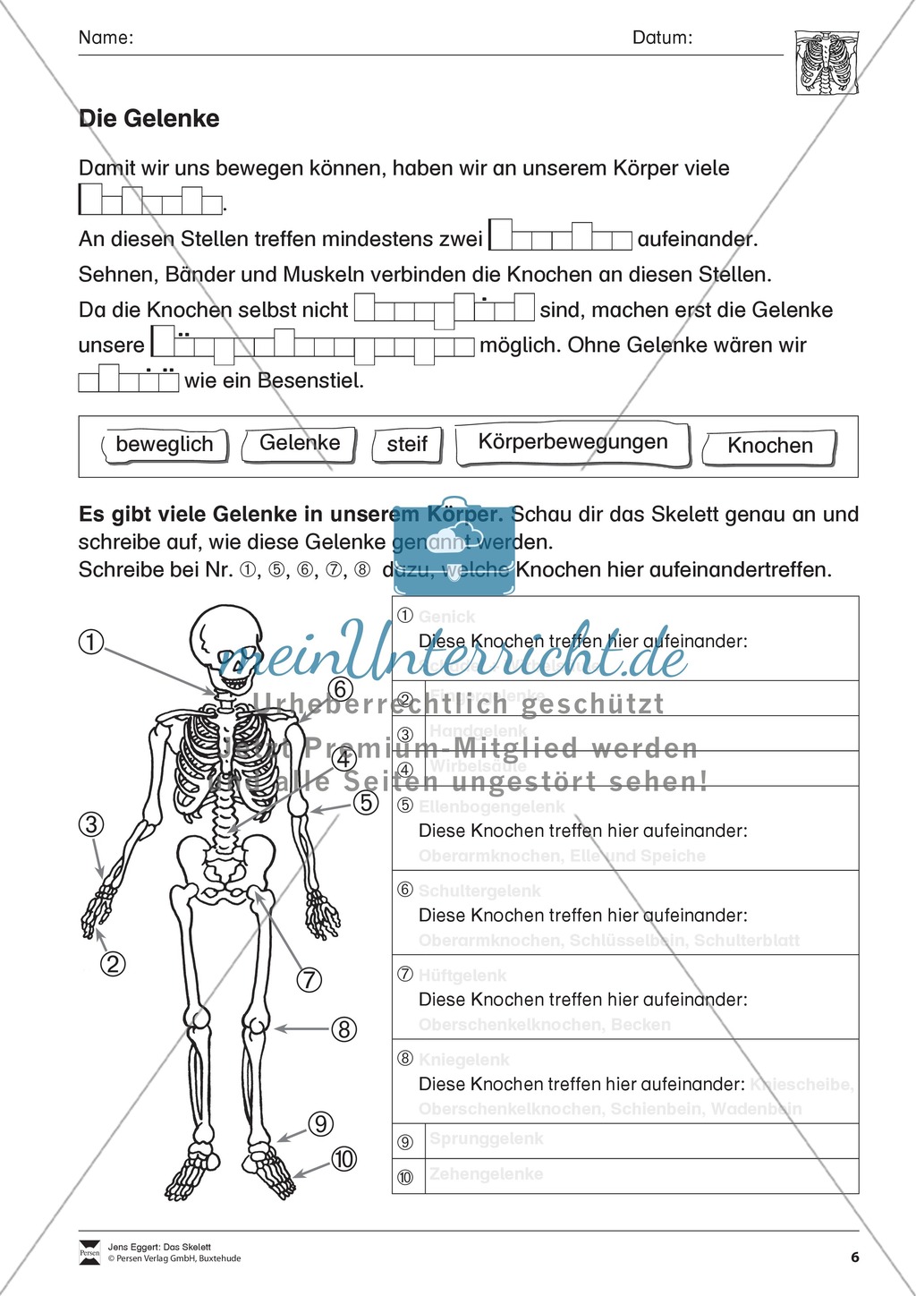 Körper und Gesundheit: Aufgaben + Lesetext + Lückentext Preview 6