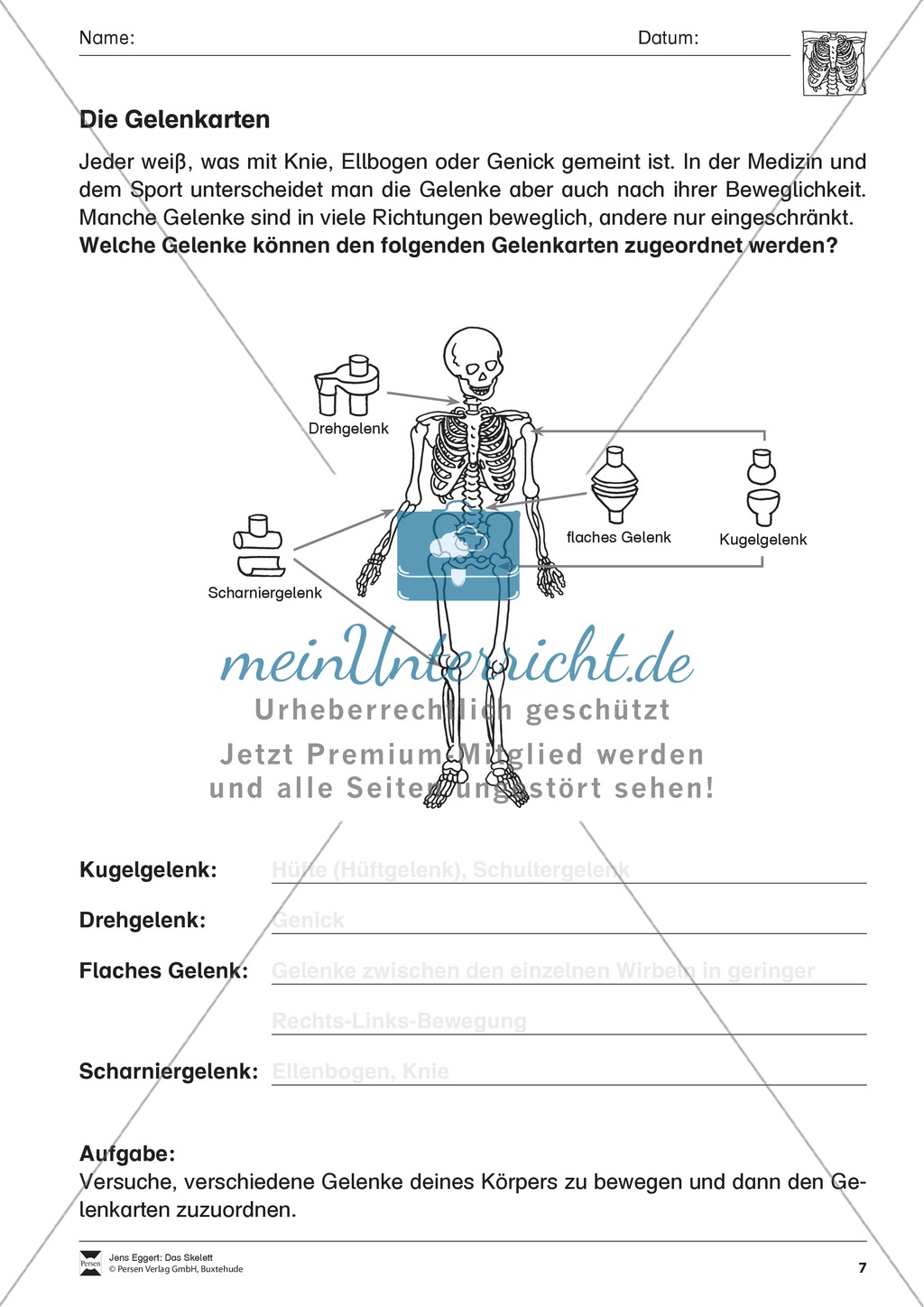 Körper und Gesundheit: Aufgaben + Lesetext + Lückentext Preview 7