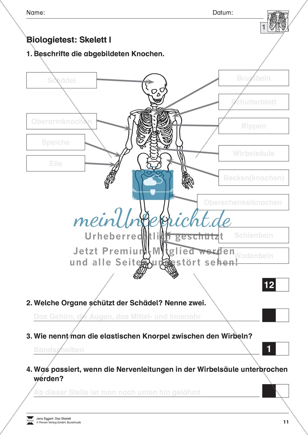 Körper und Gesundheit: Aufgaben + Biologie - Test Preview 1
