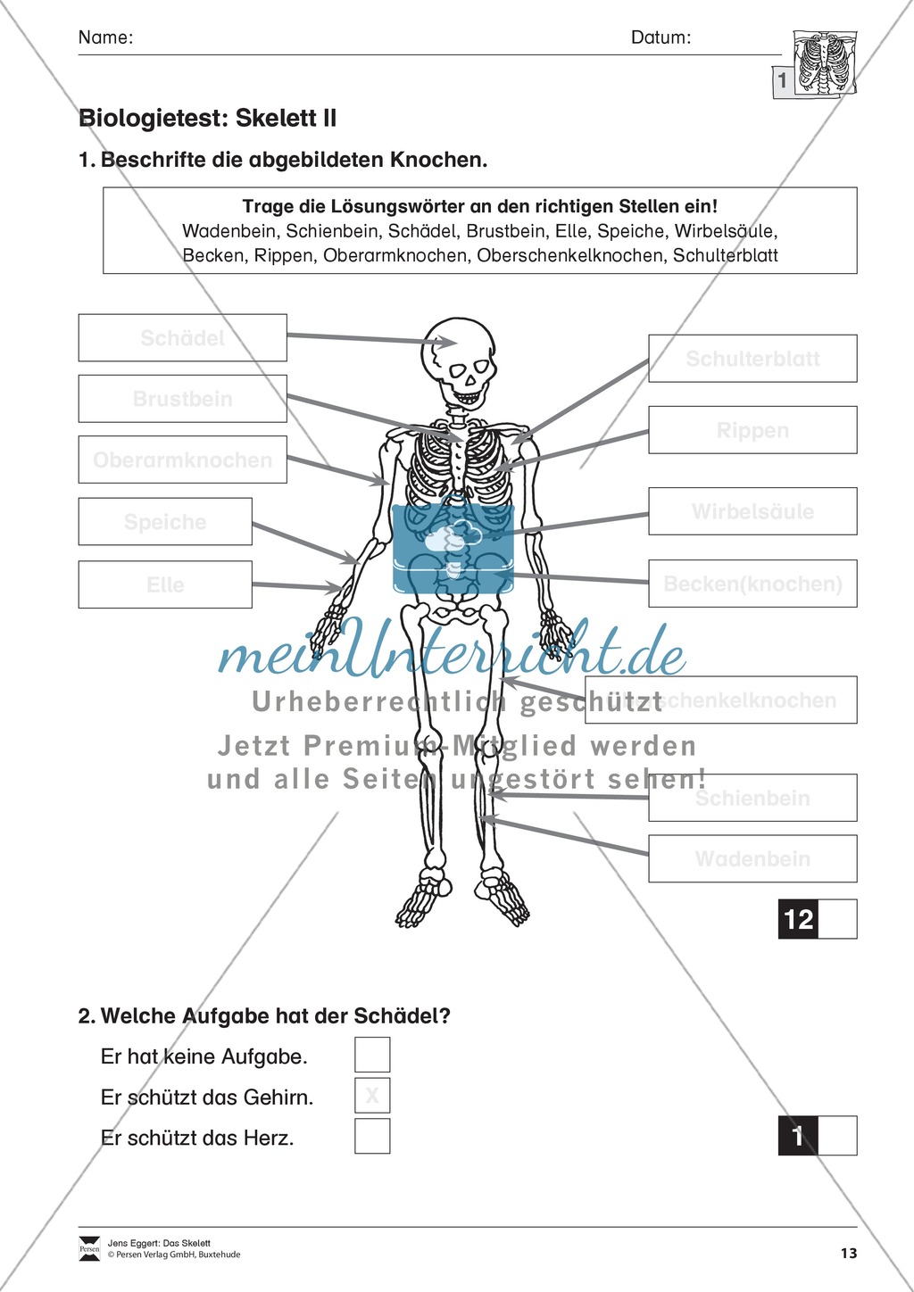 Körper und Gesundheit: Aufgaben + Biologie - Test Preview 3