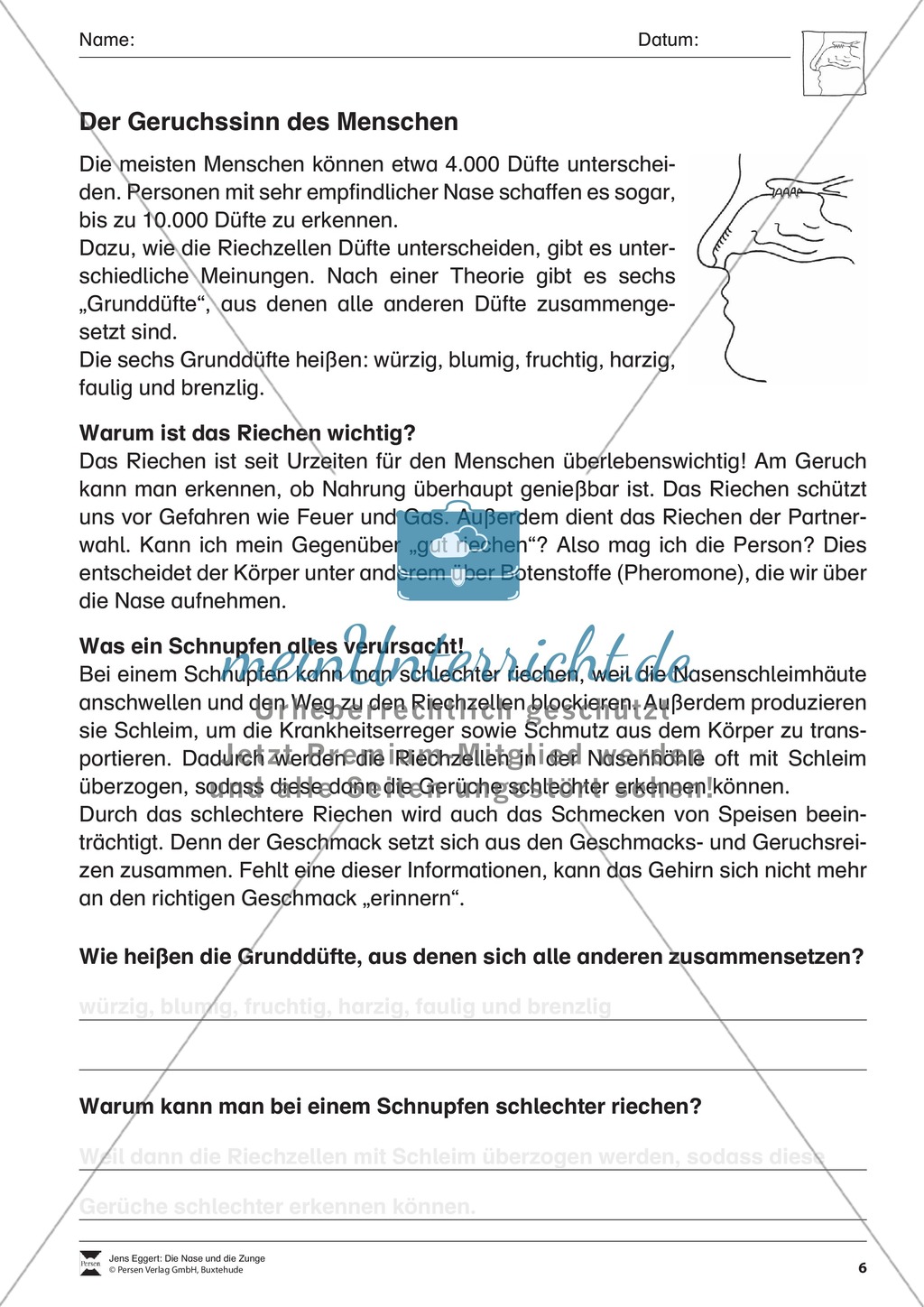 Geruchssinn des Menschen: Arbeitsblatt Preview 1