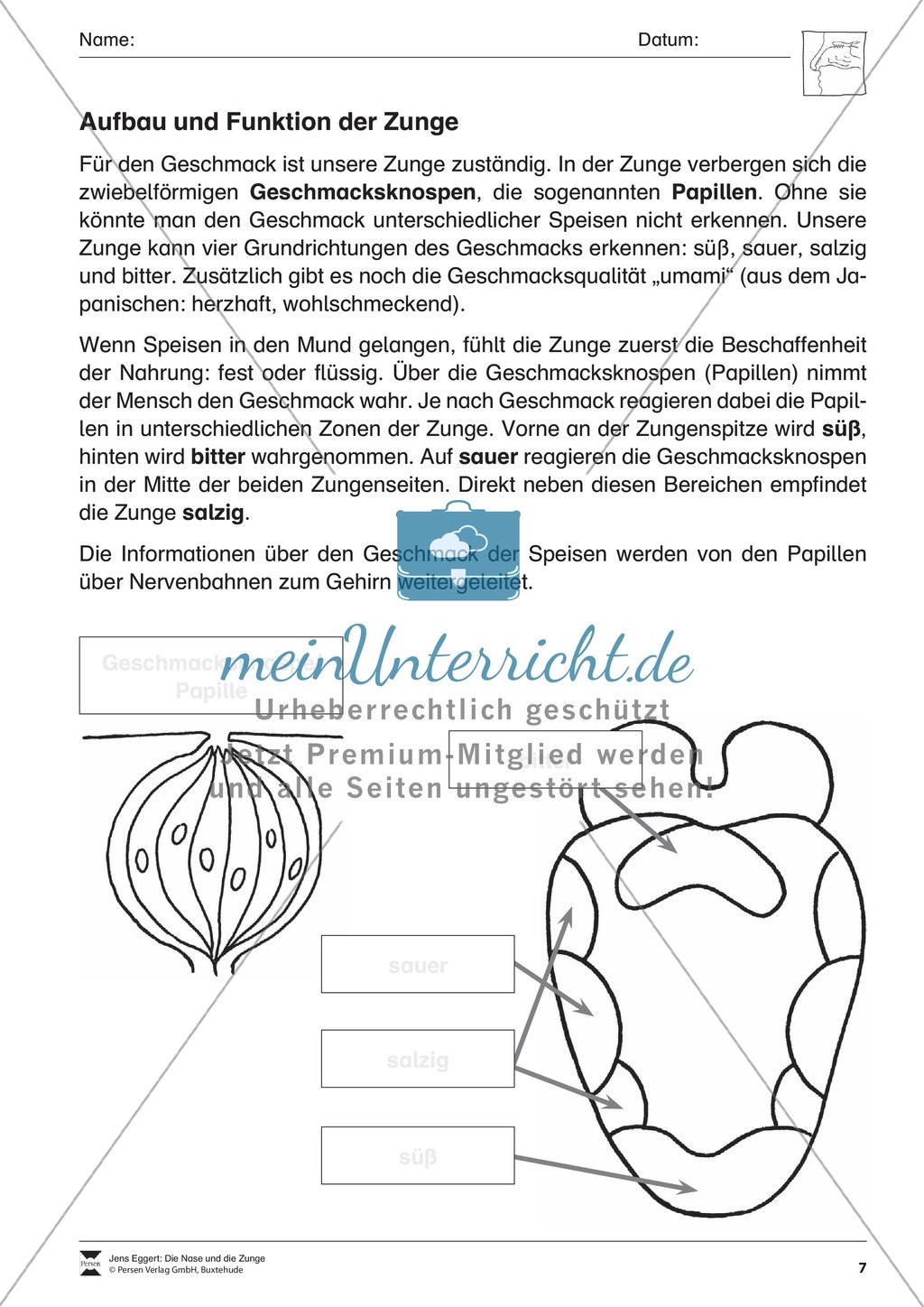 Aufbau und Funktion der Zunge: Arbeitsblätter Preview 1