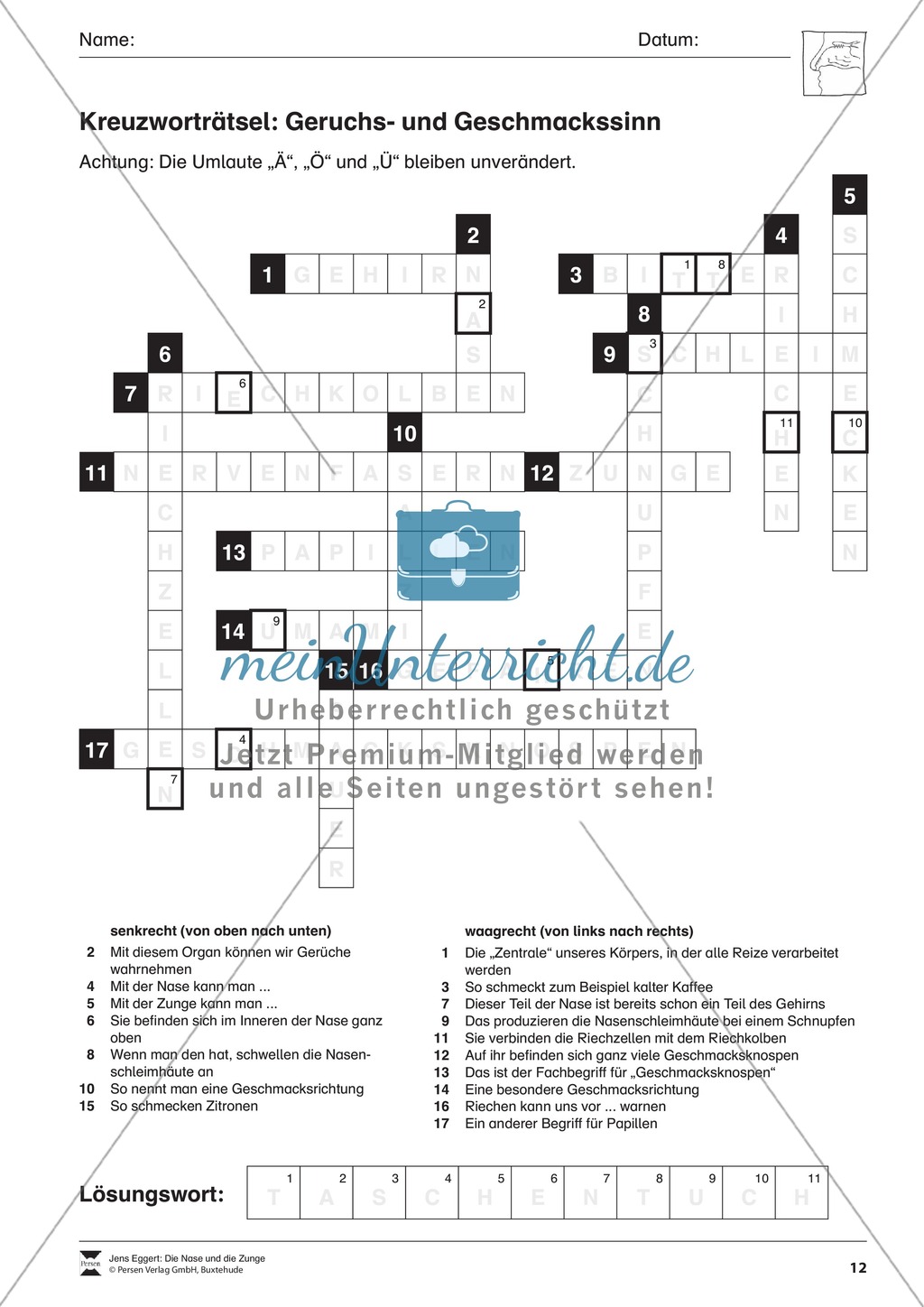 Geruchssinn und Geschmackssinn: Arbeitsblatt Preview 3