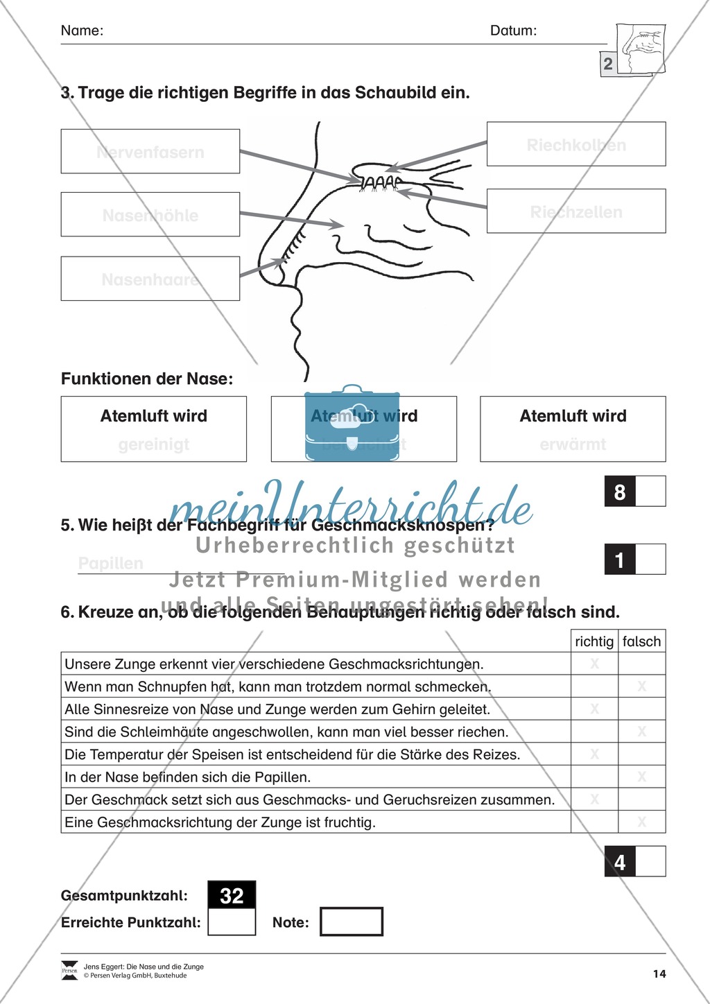 Nase und Zunge: Test Preview 2
