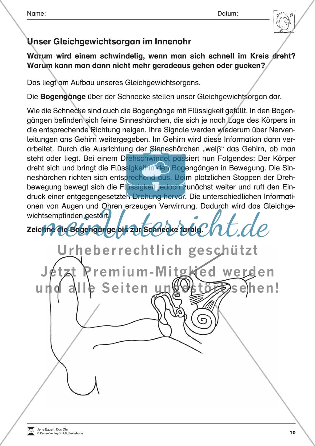 Das Ohr Preview 11