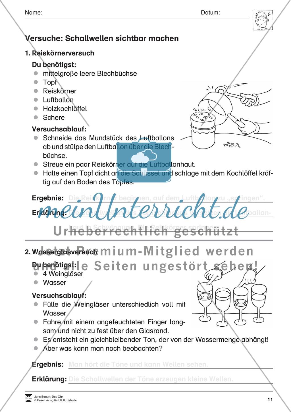 Das Ohr Preview 12
